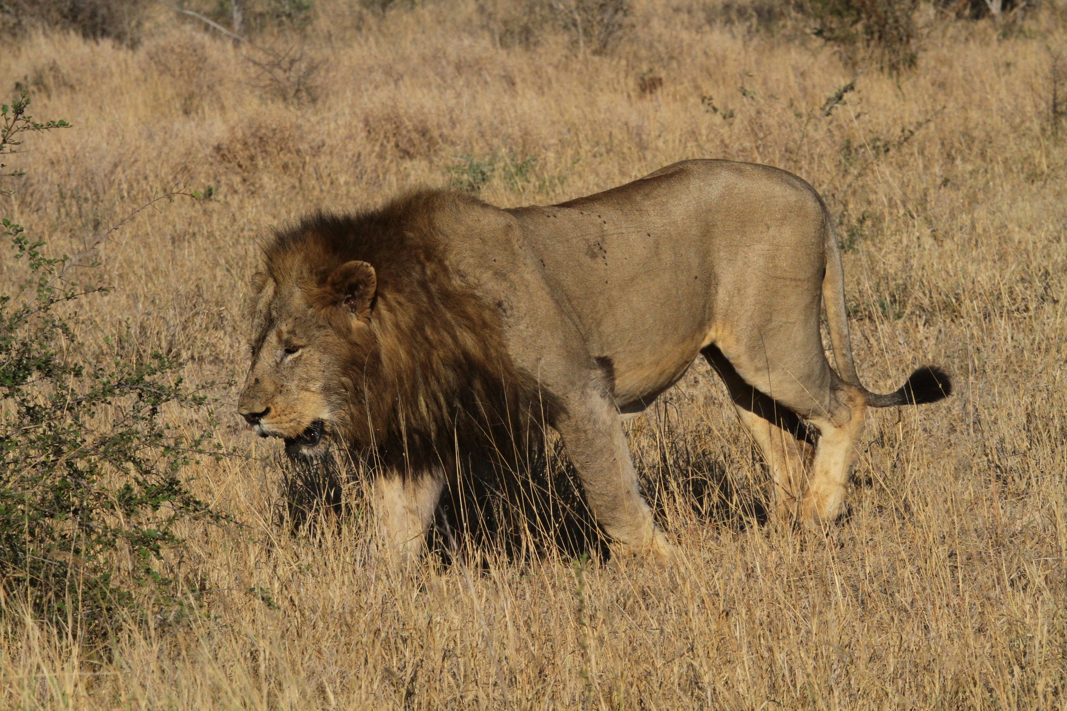 Photo by mitchbwilder