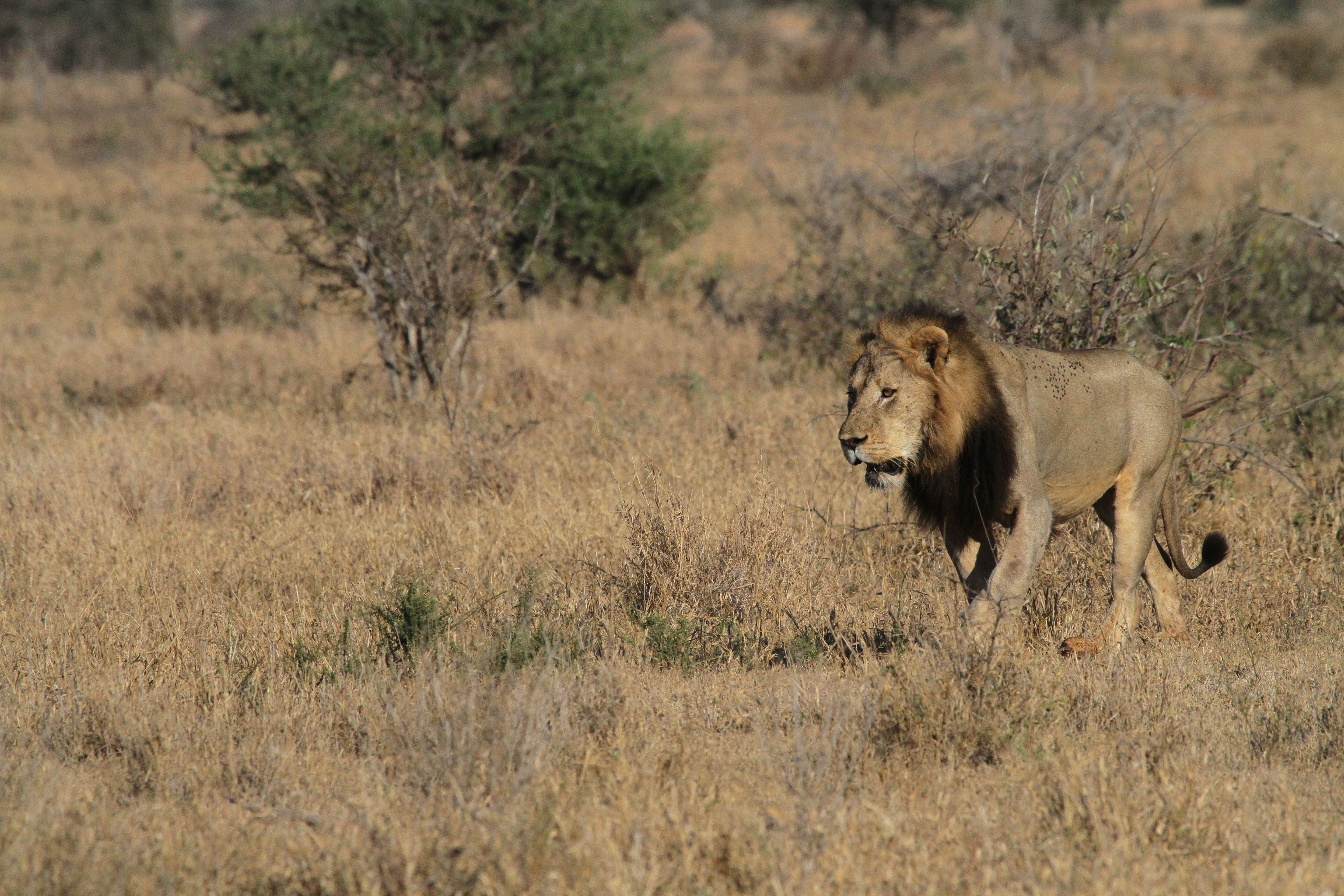 Photo by mitchbwilder