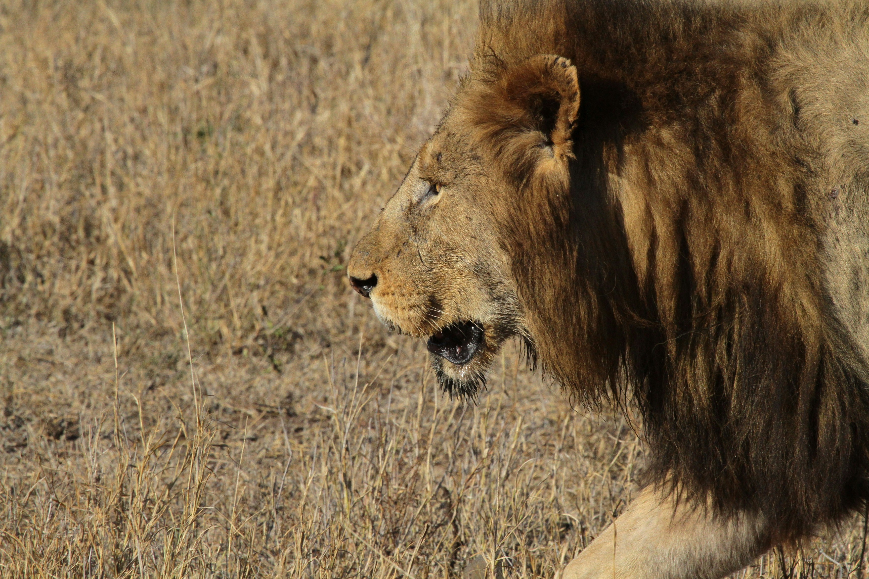 Photo by mitchbwilder