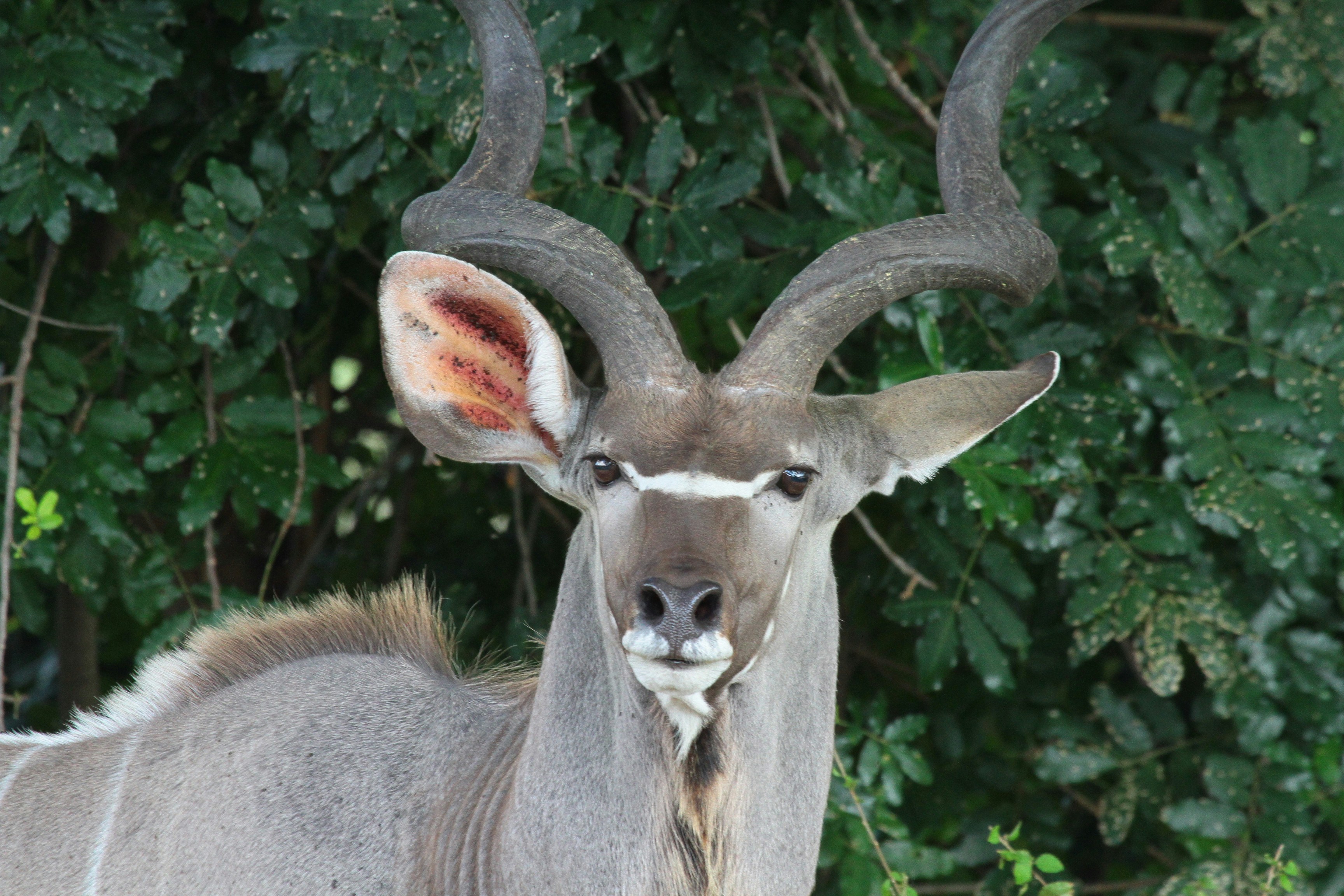 Photo by mitchbwilder