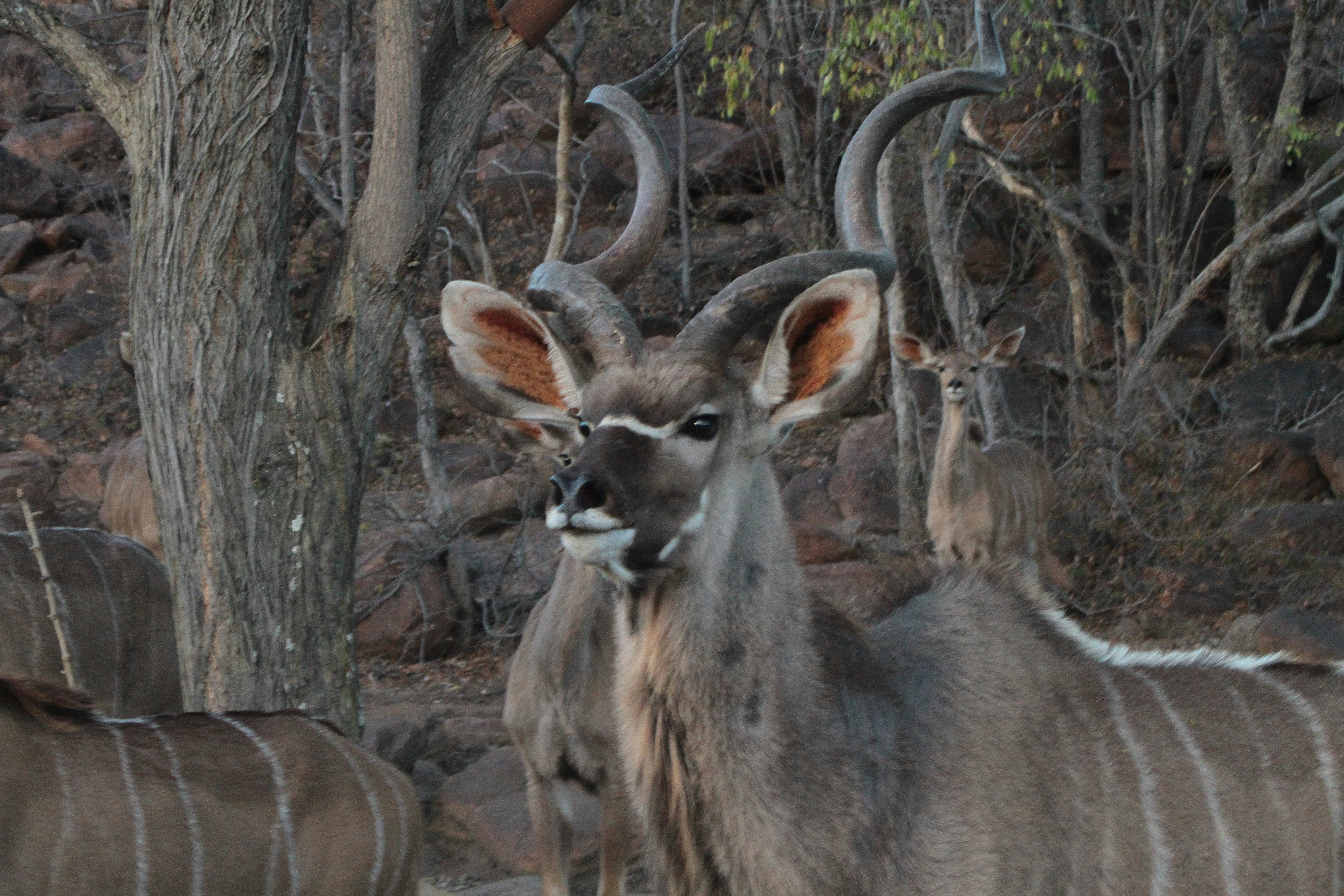 Photo by mitchbwilder