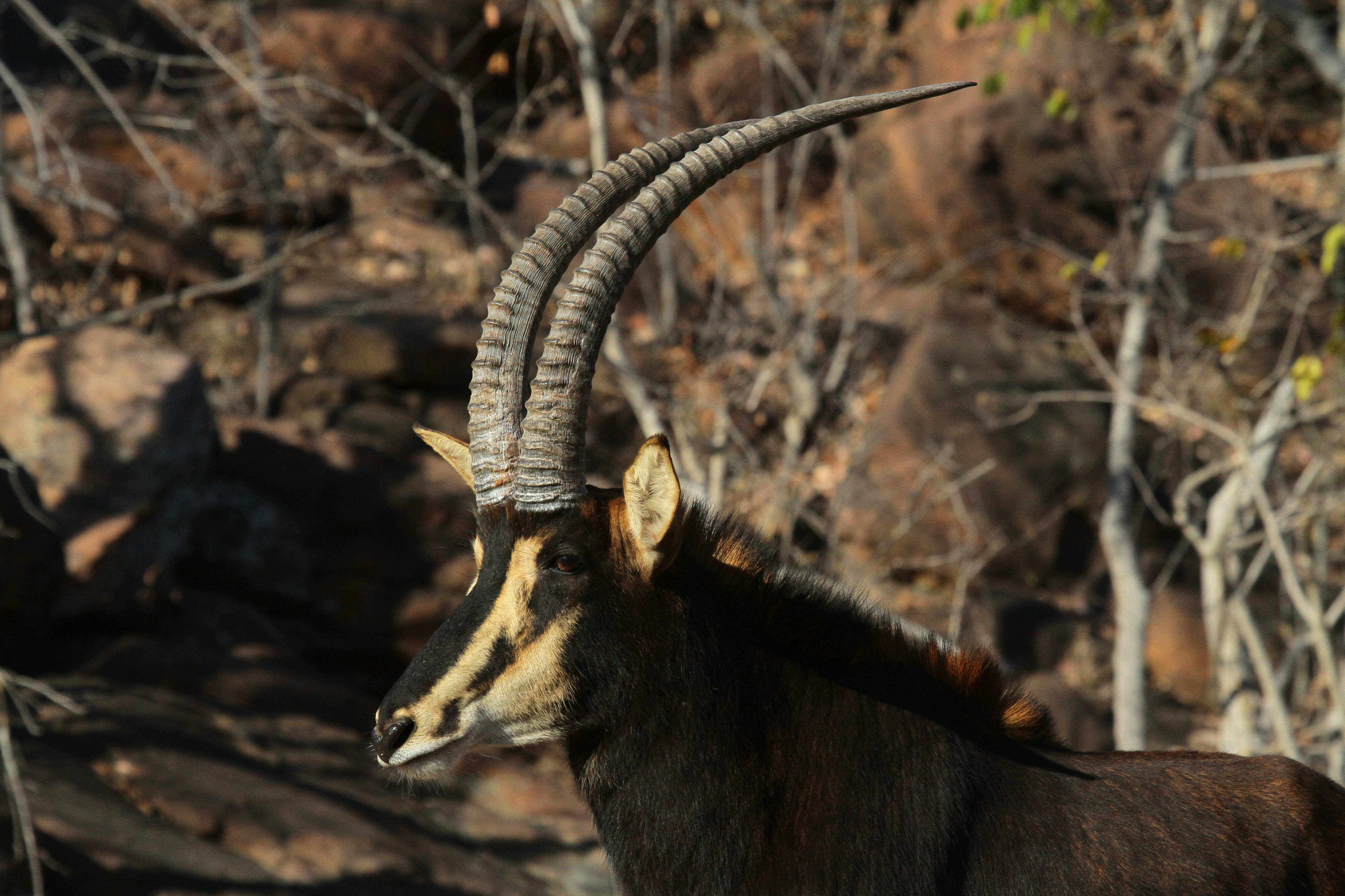 Photo by mitchbwilder