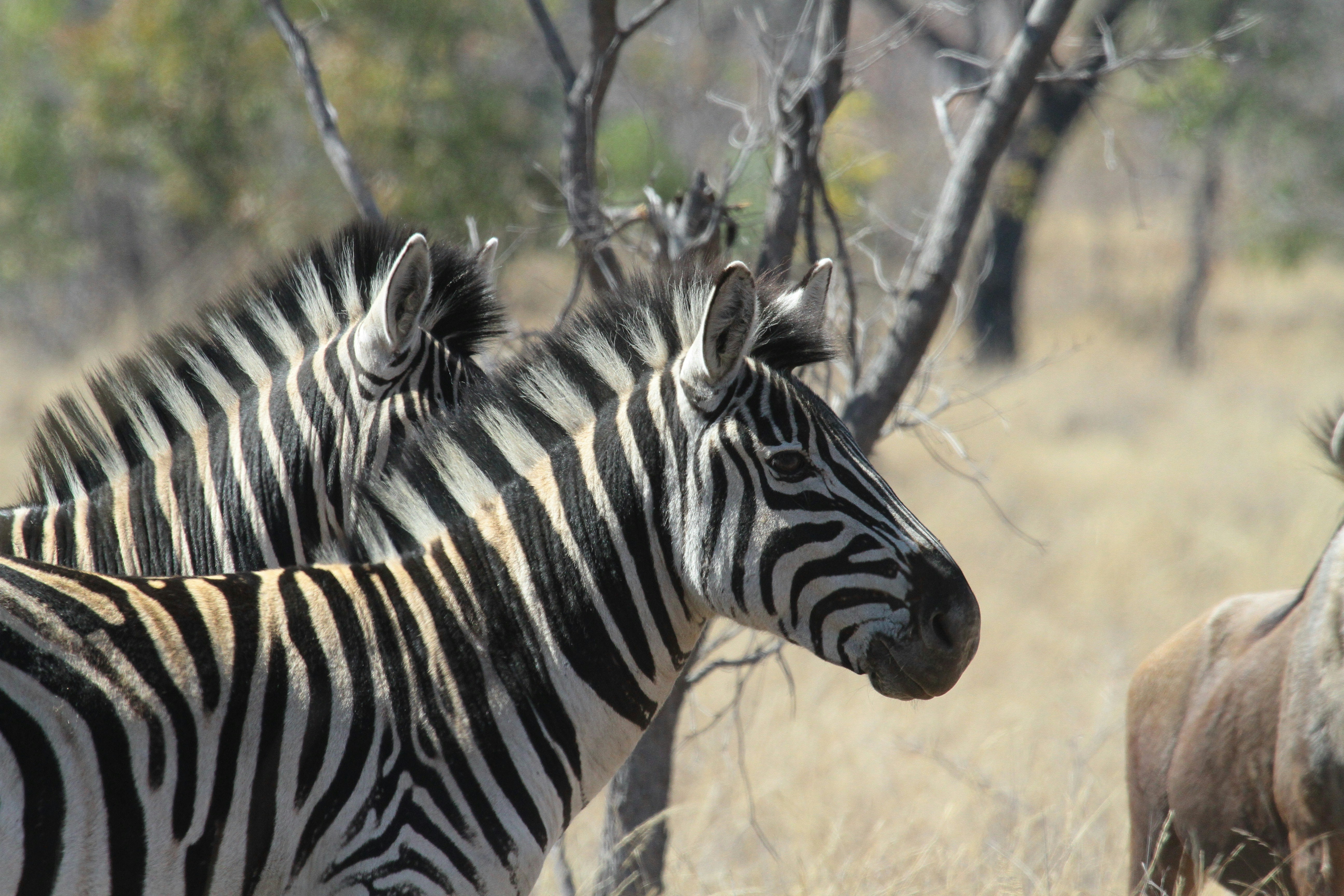 Photo by mitchbwilder