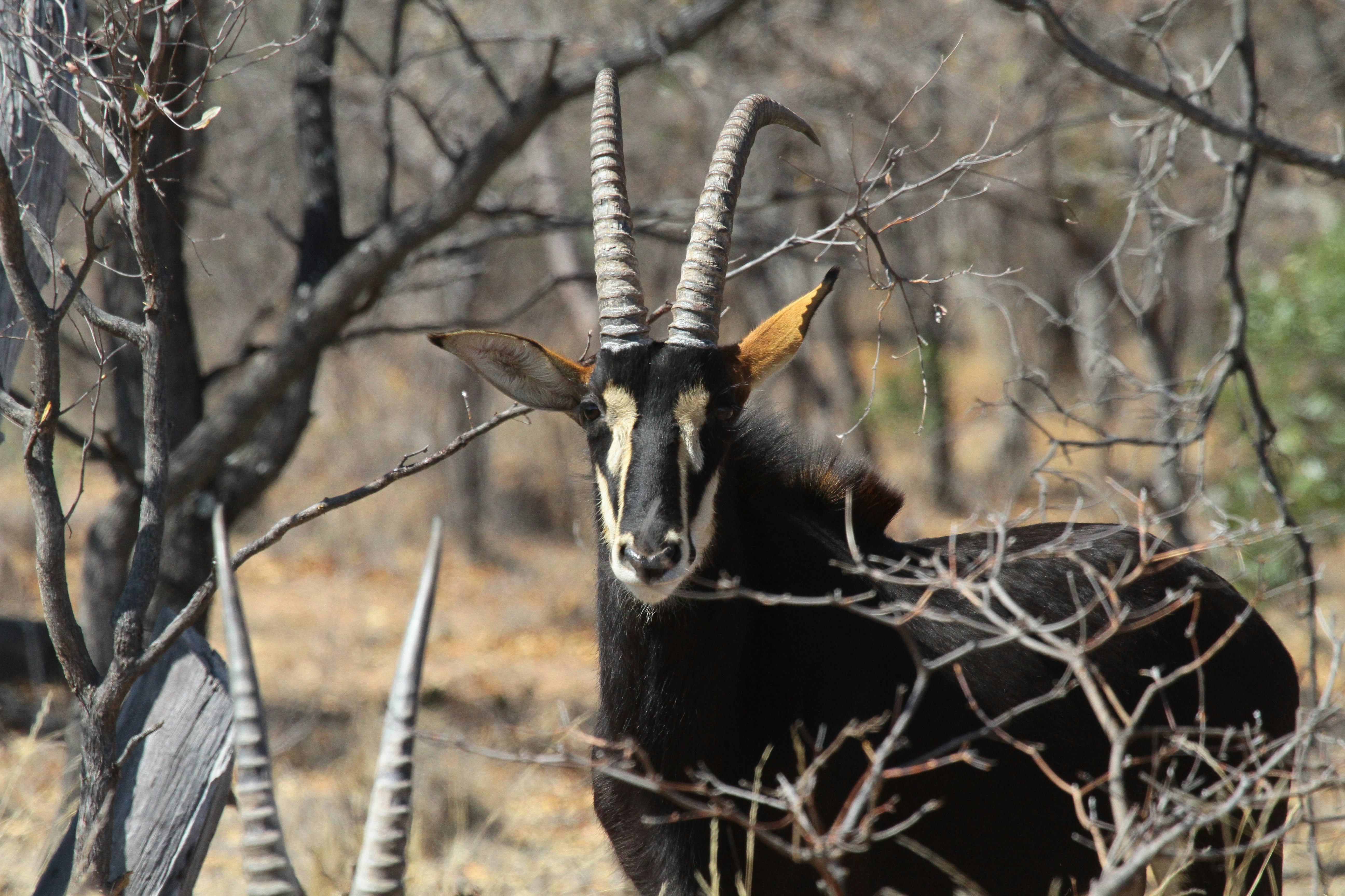 Photo by mitchbwilder