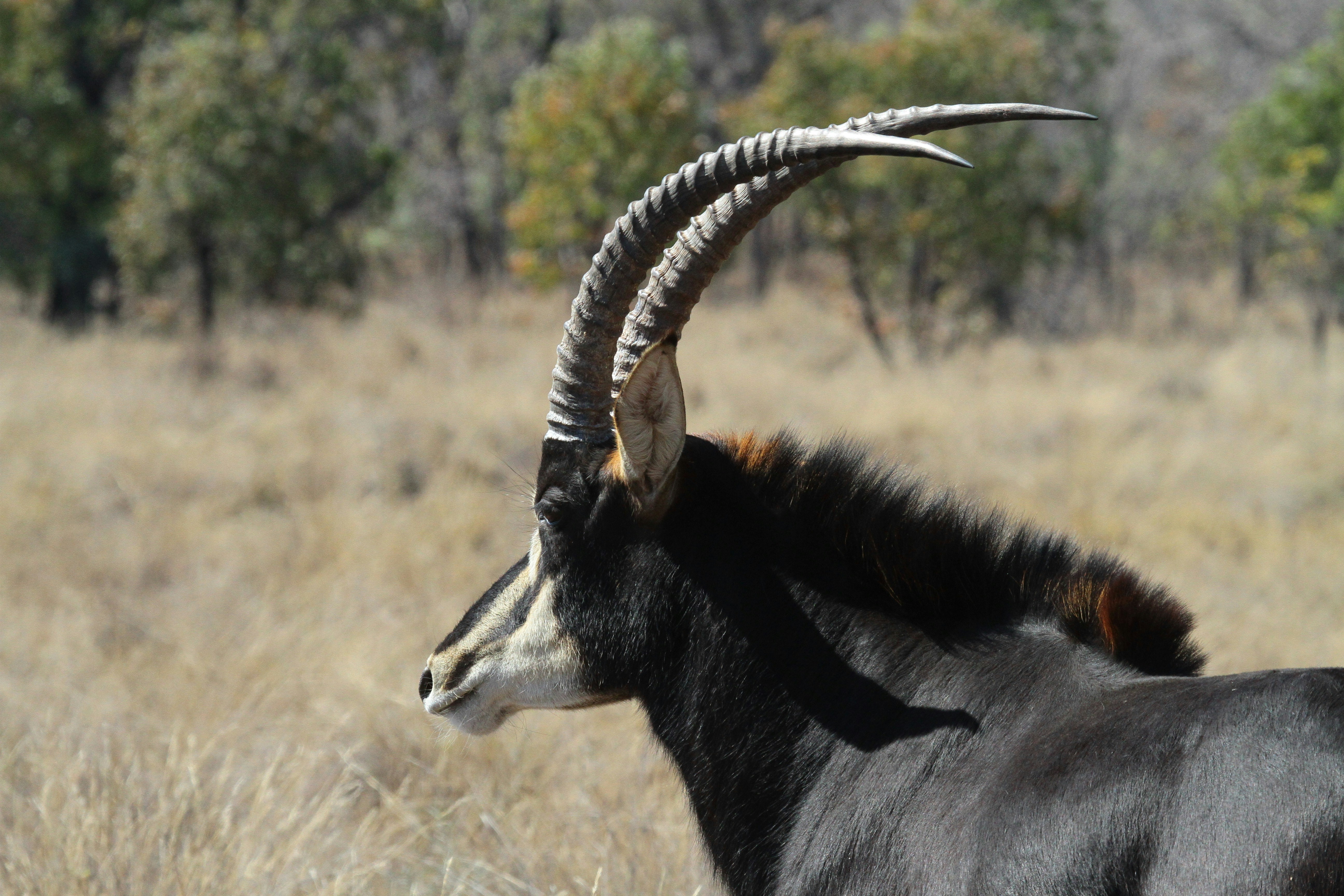 Photo by mitchbwilder