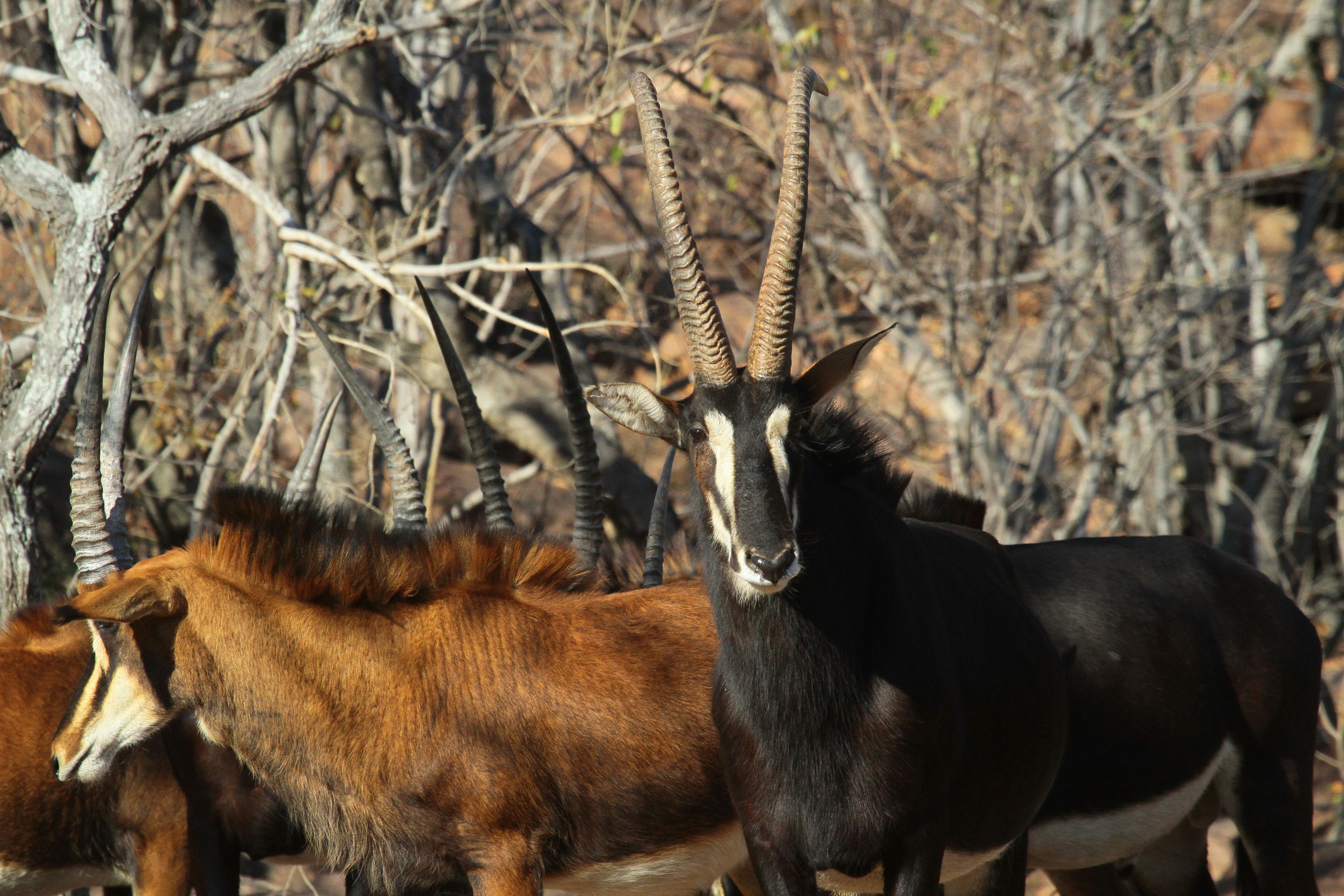 Photo by mitchbwilder