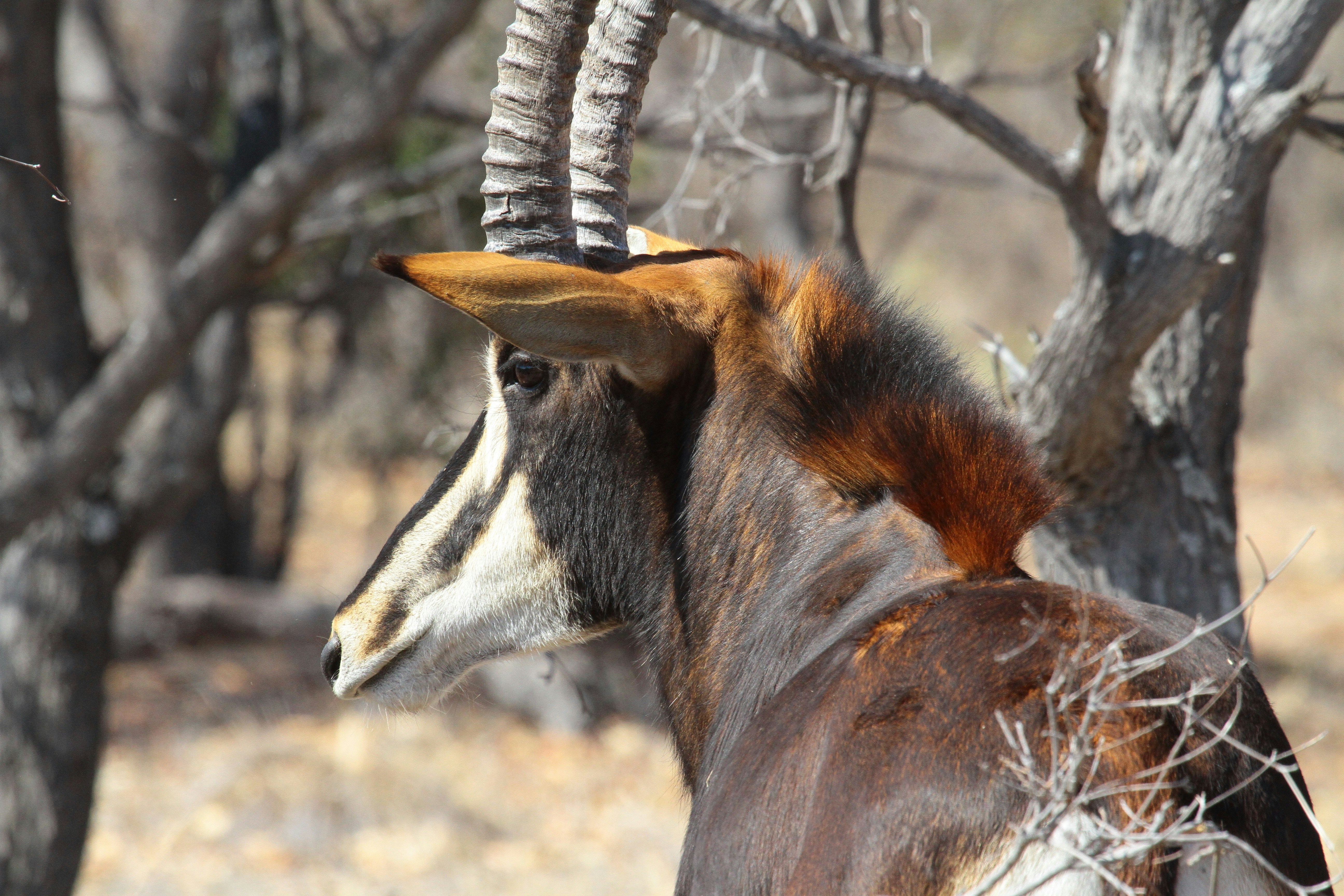 Photo by mitchbwilder