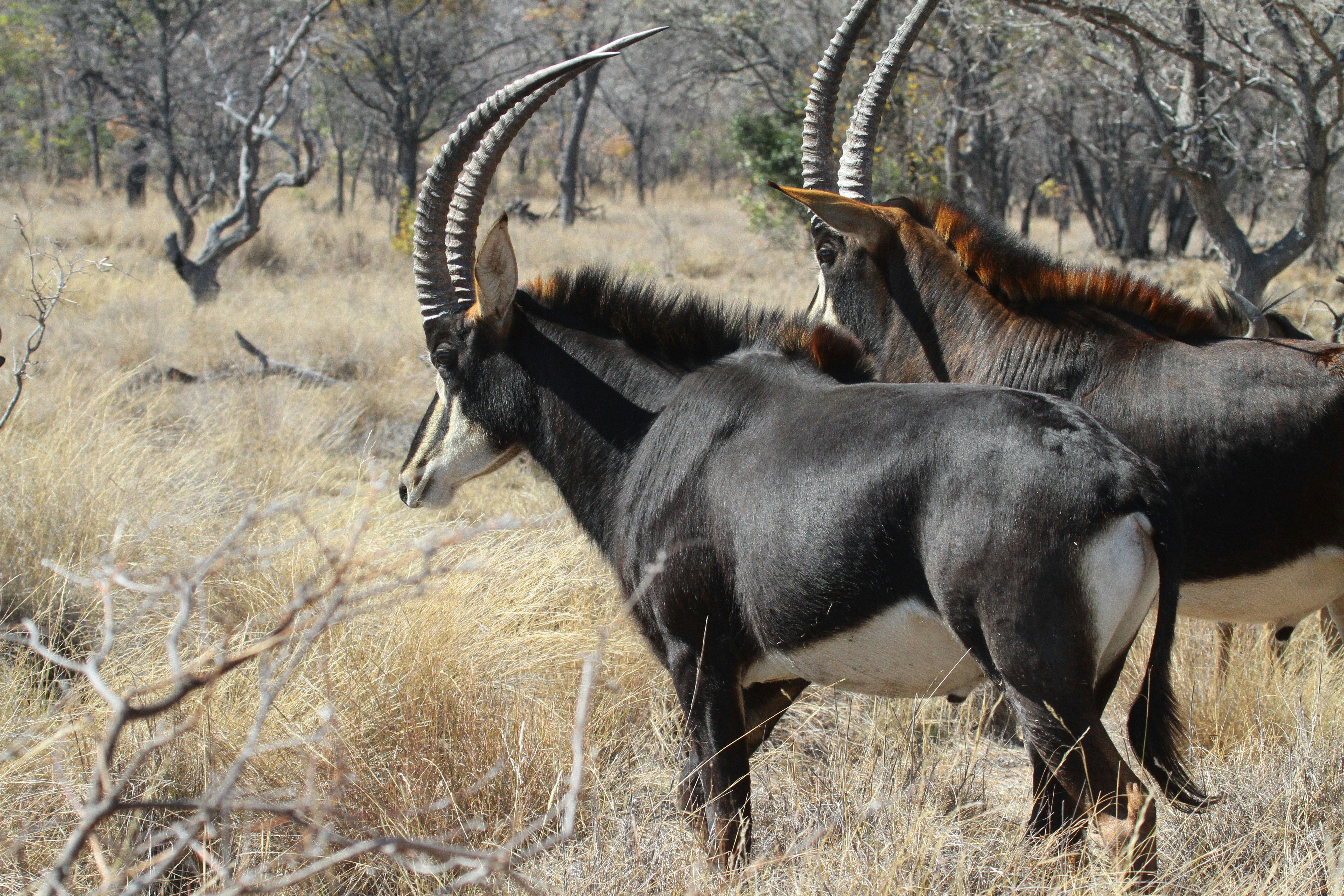 Photo by mitchbwilder