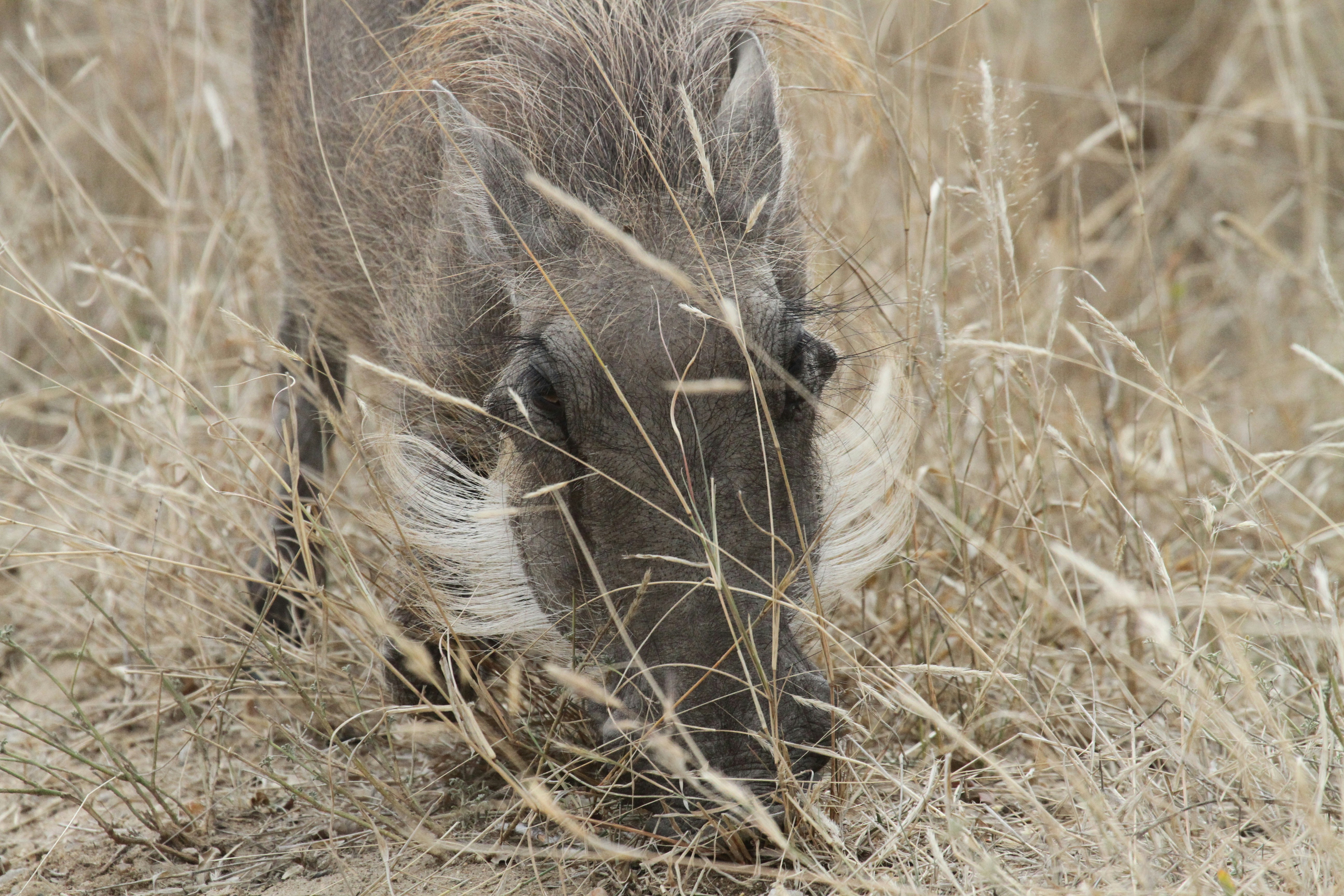 Photo by mitchbwilder