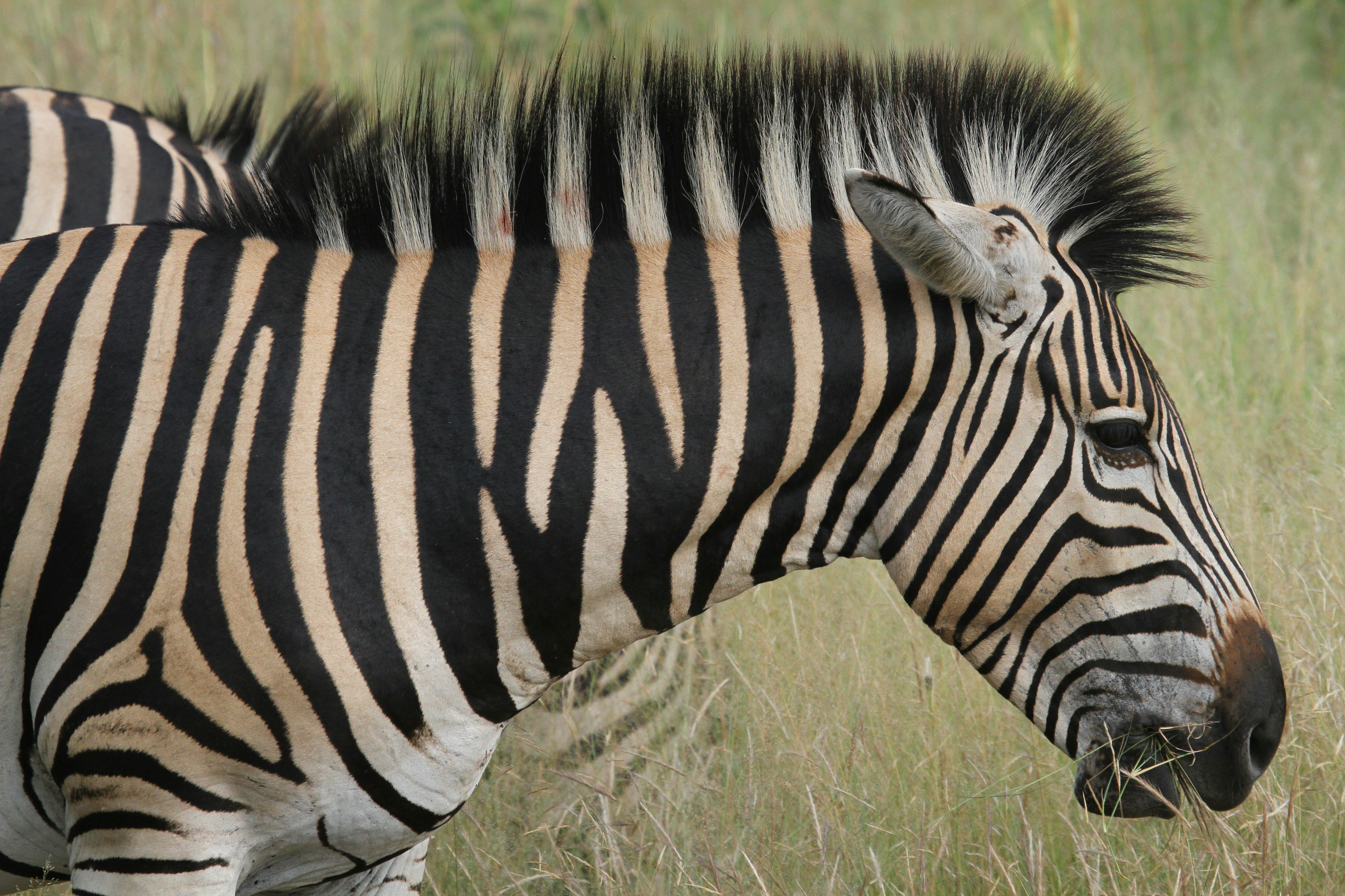 Photo by mitchbwilder