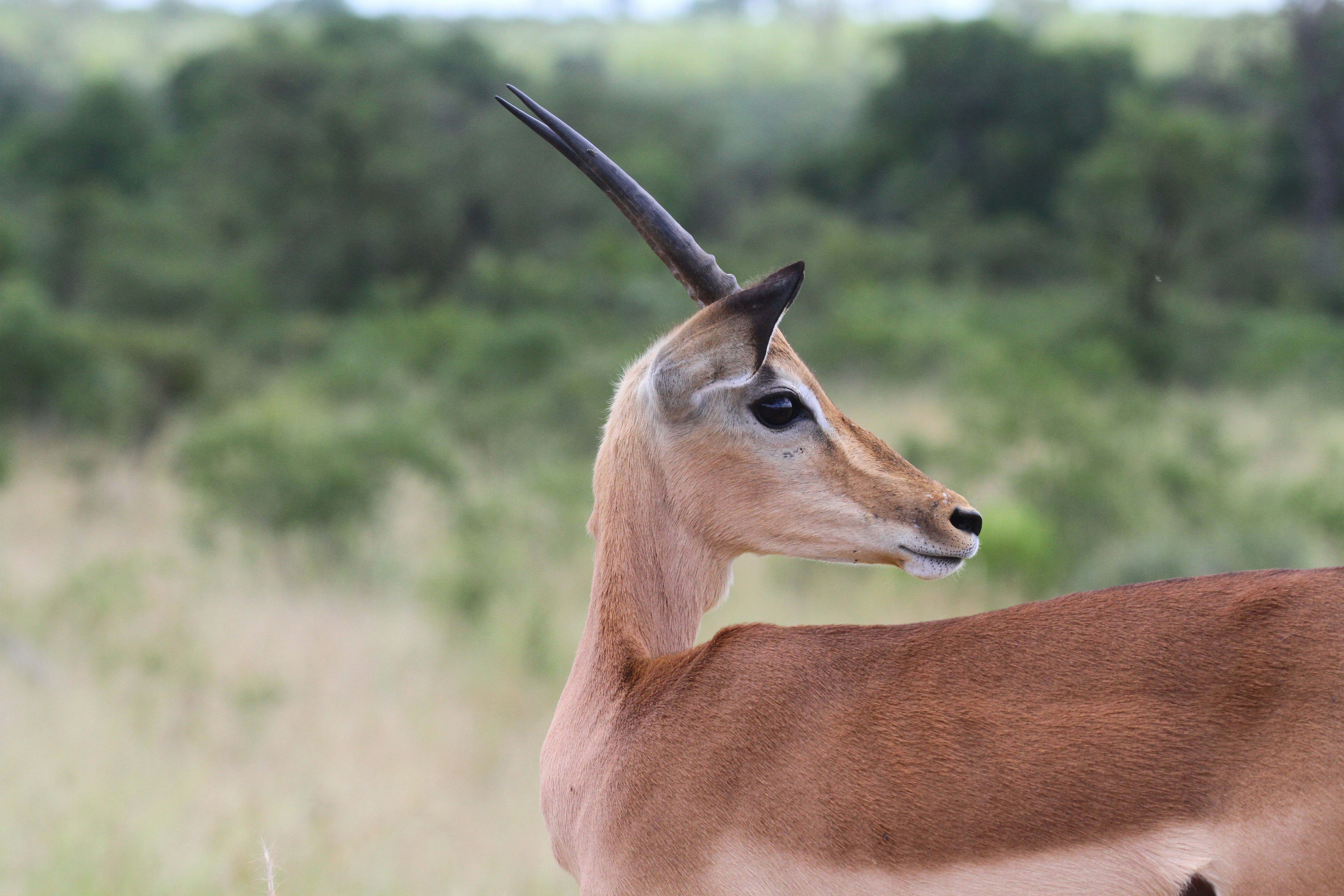 Photo by mitchbwilder