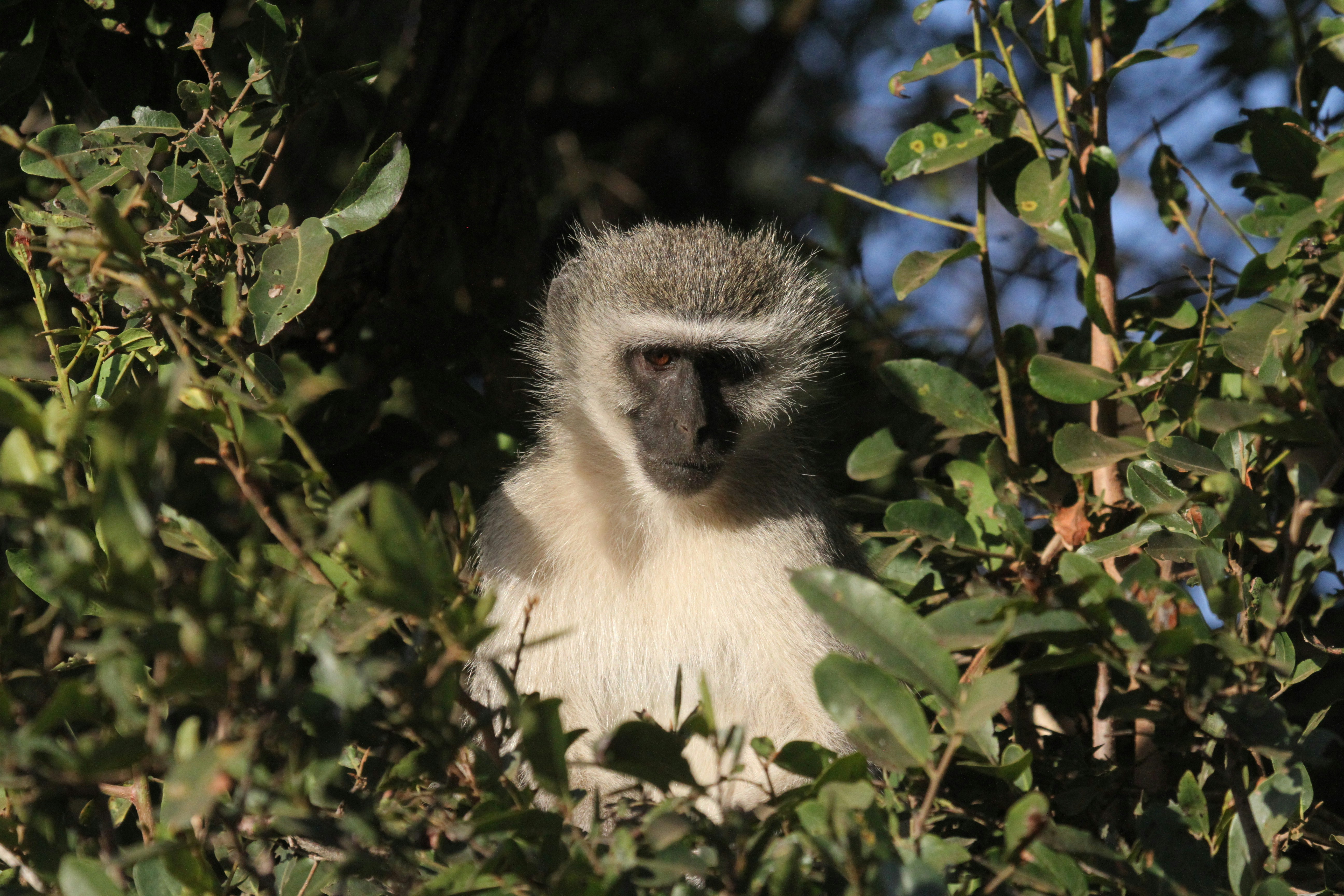 Photo by mitchbwilder