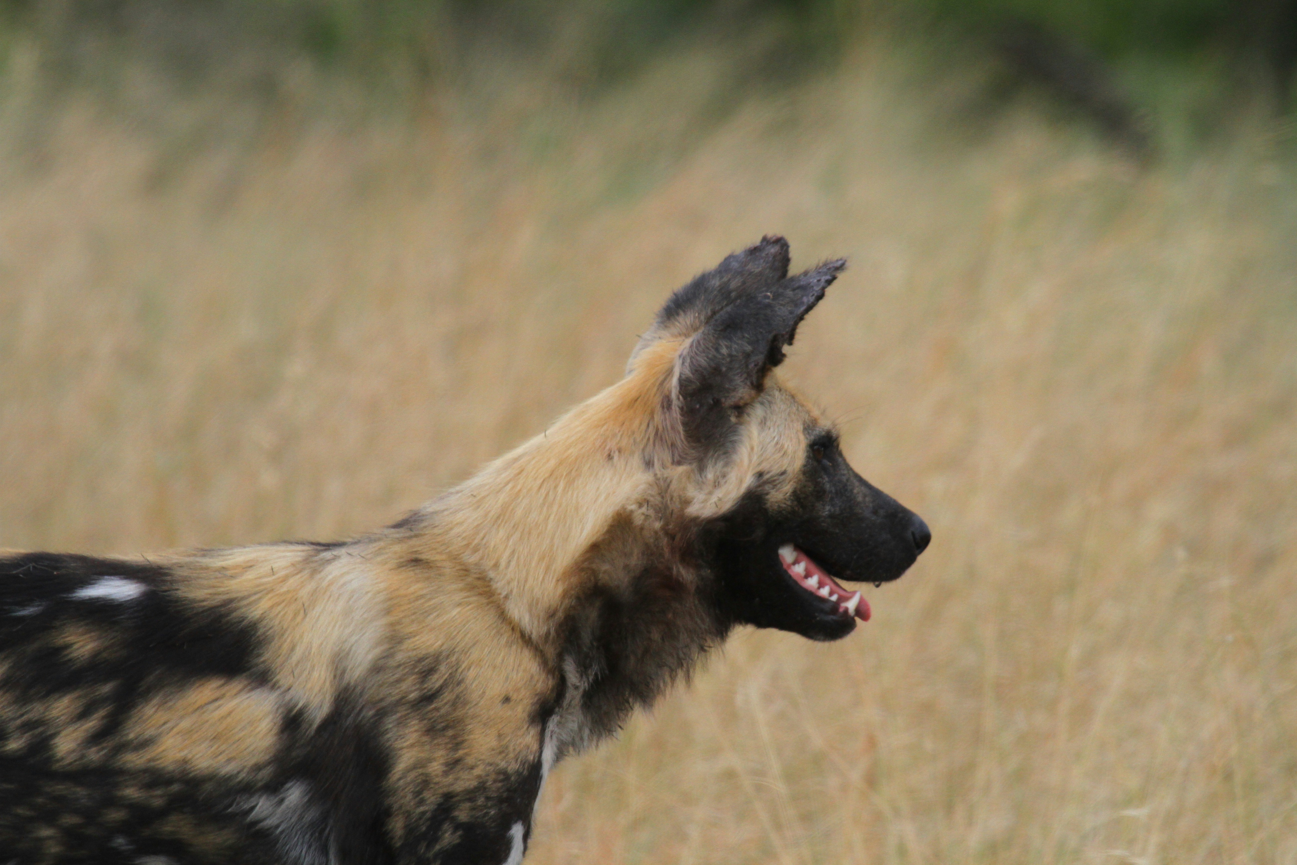 Photo by mitchbwilder