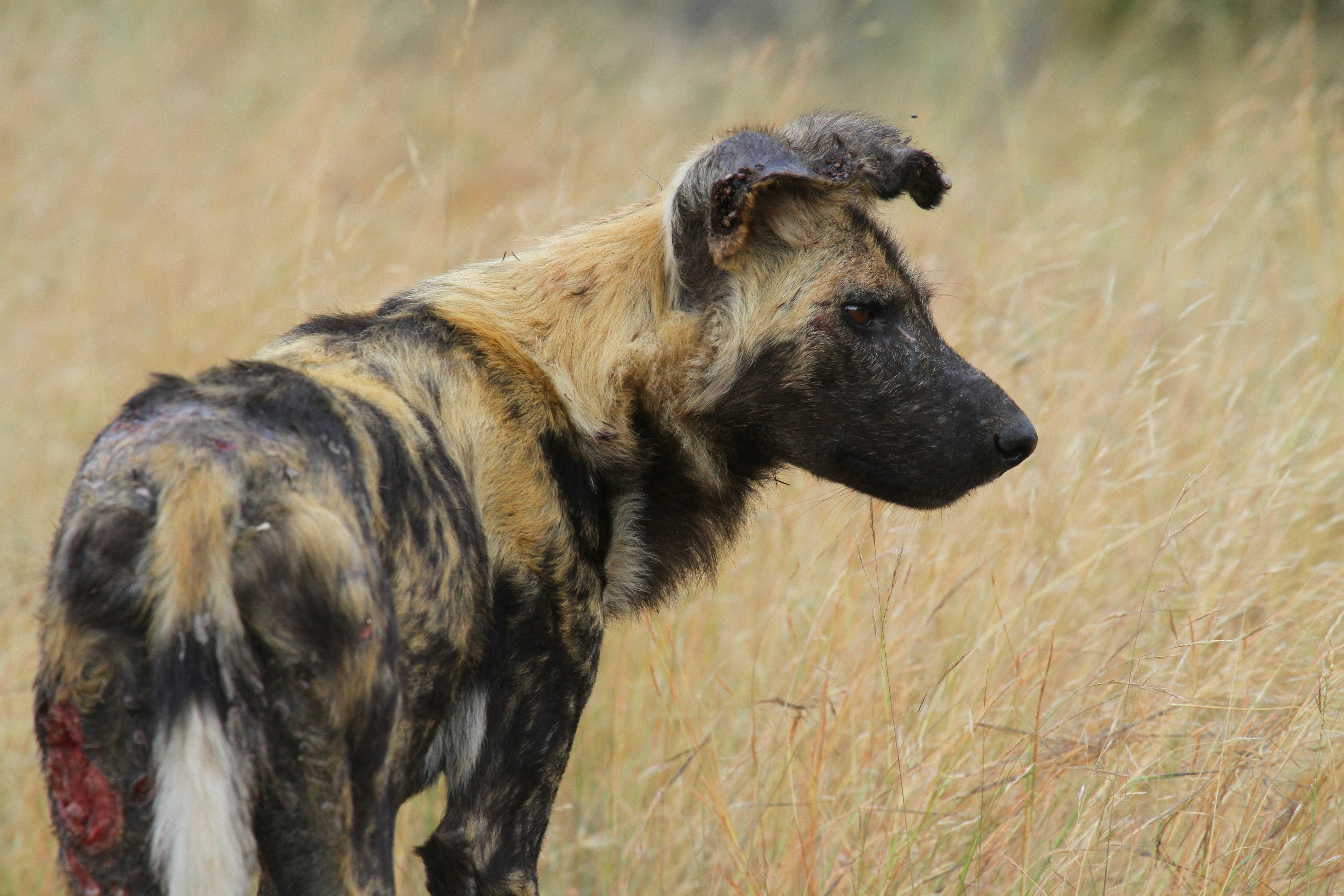 Photo by mitchbwilder