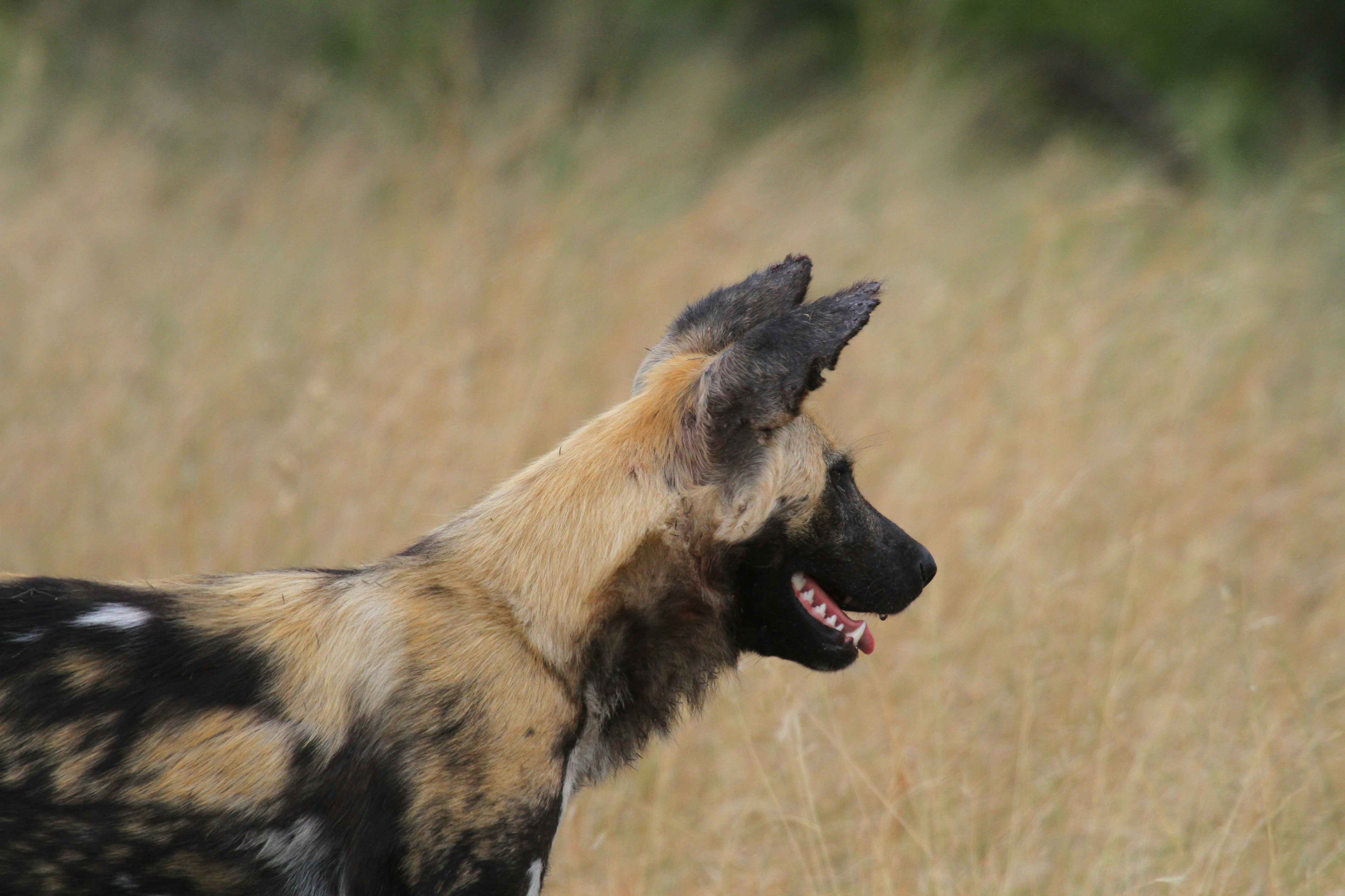 Photo by mitchbwilder