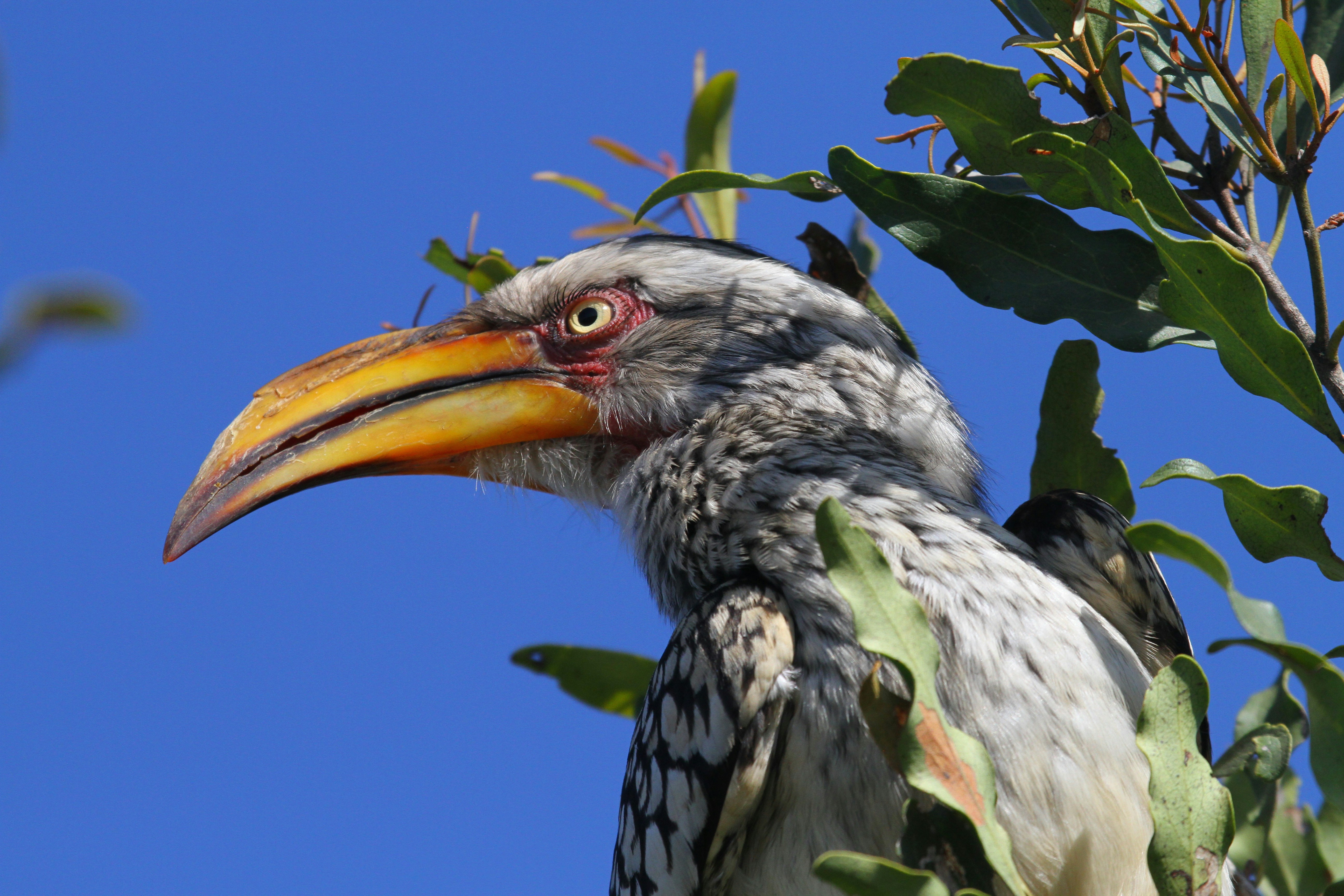 Photo by mitchbwilder