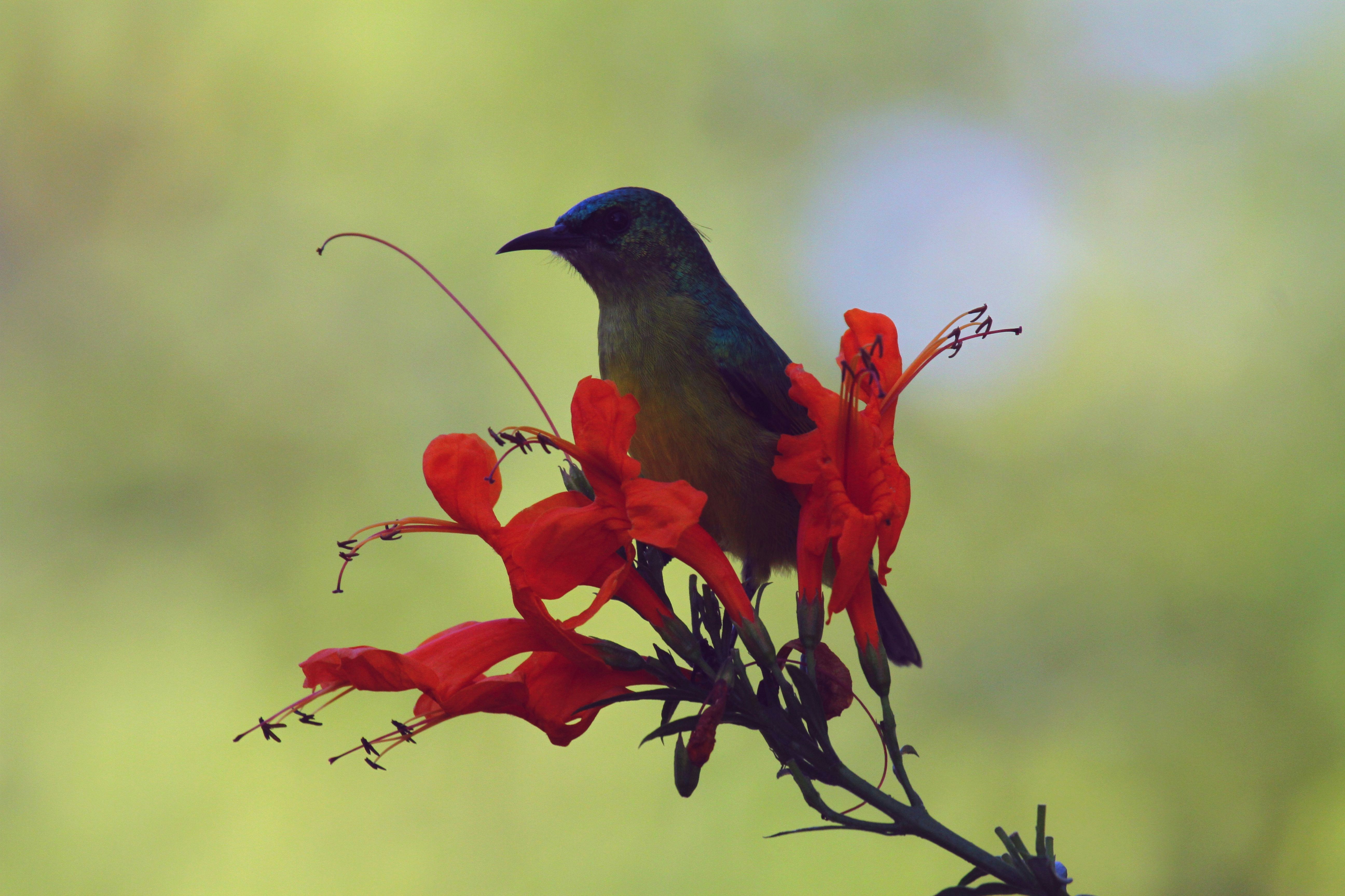 Photo by mitchbwilder