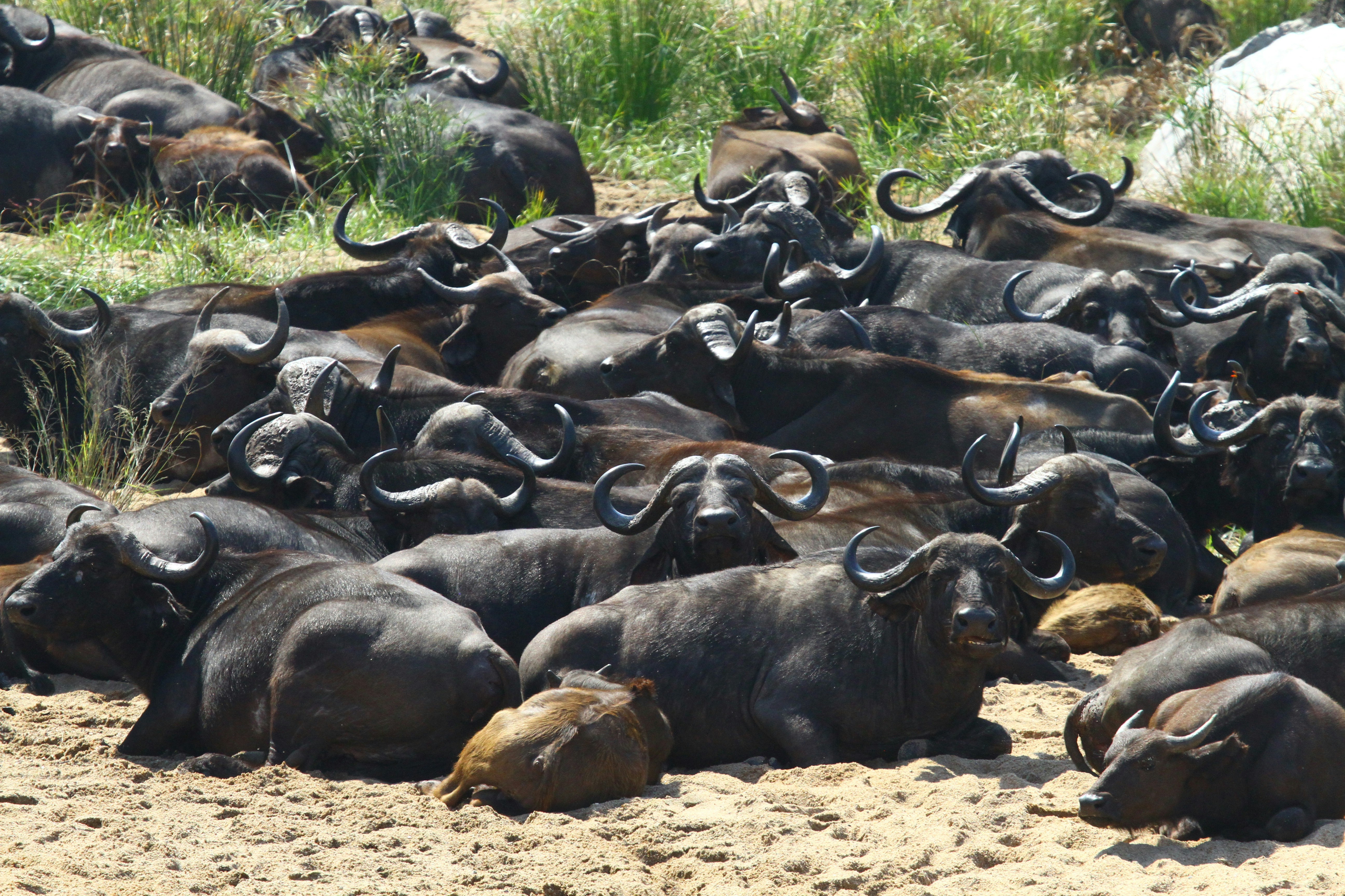 Photo by mitchbwilder