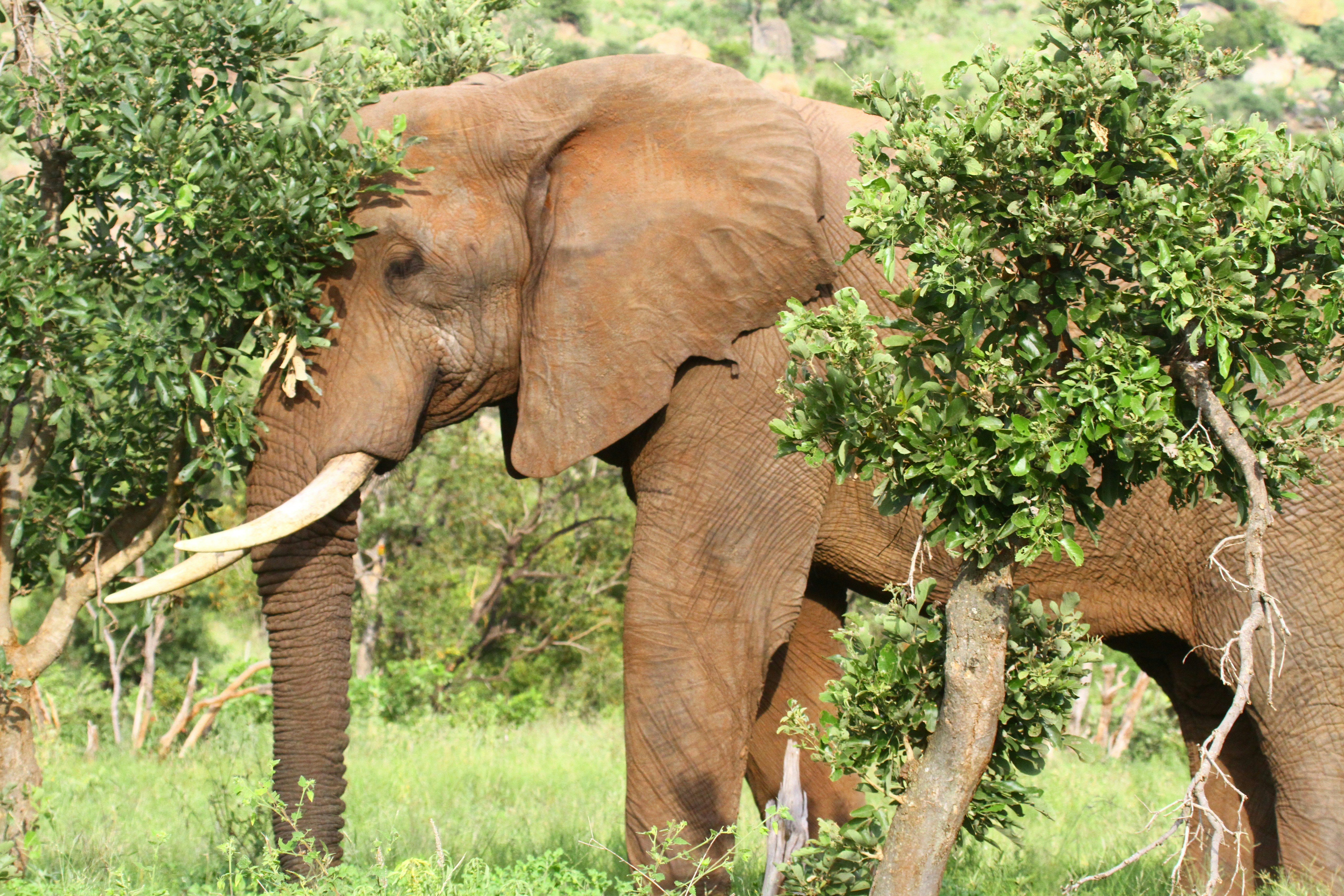 Photo by mitchbwilder