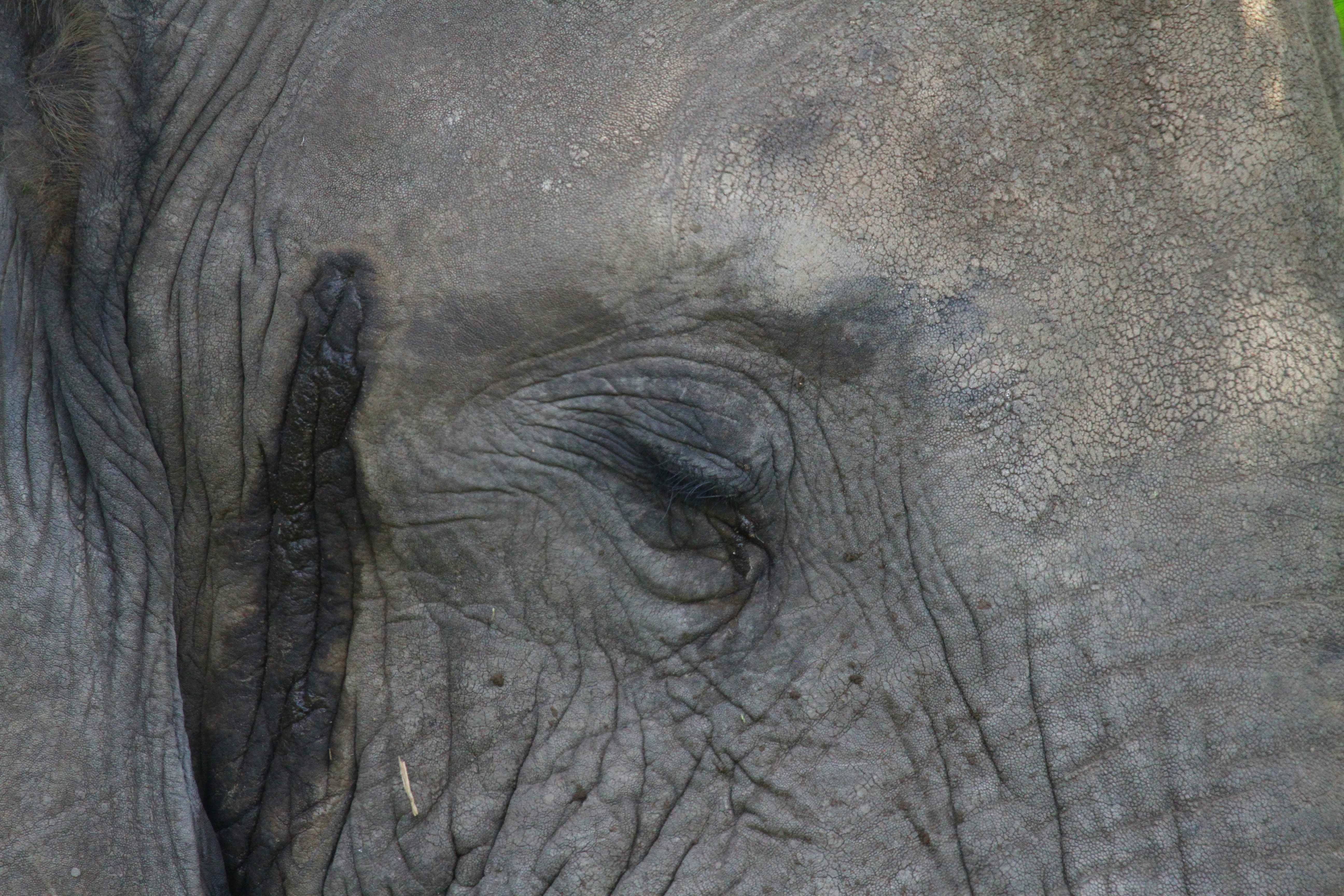 Photo by mitchbwilder