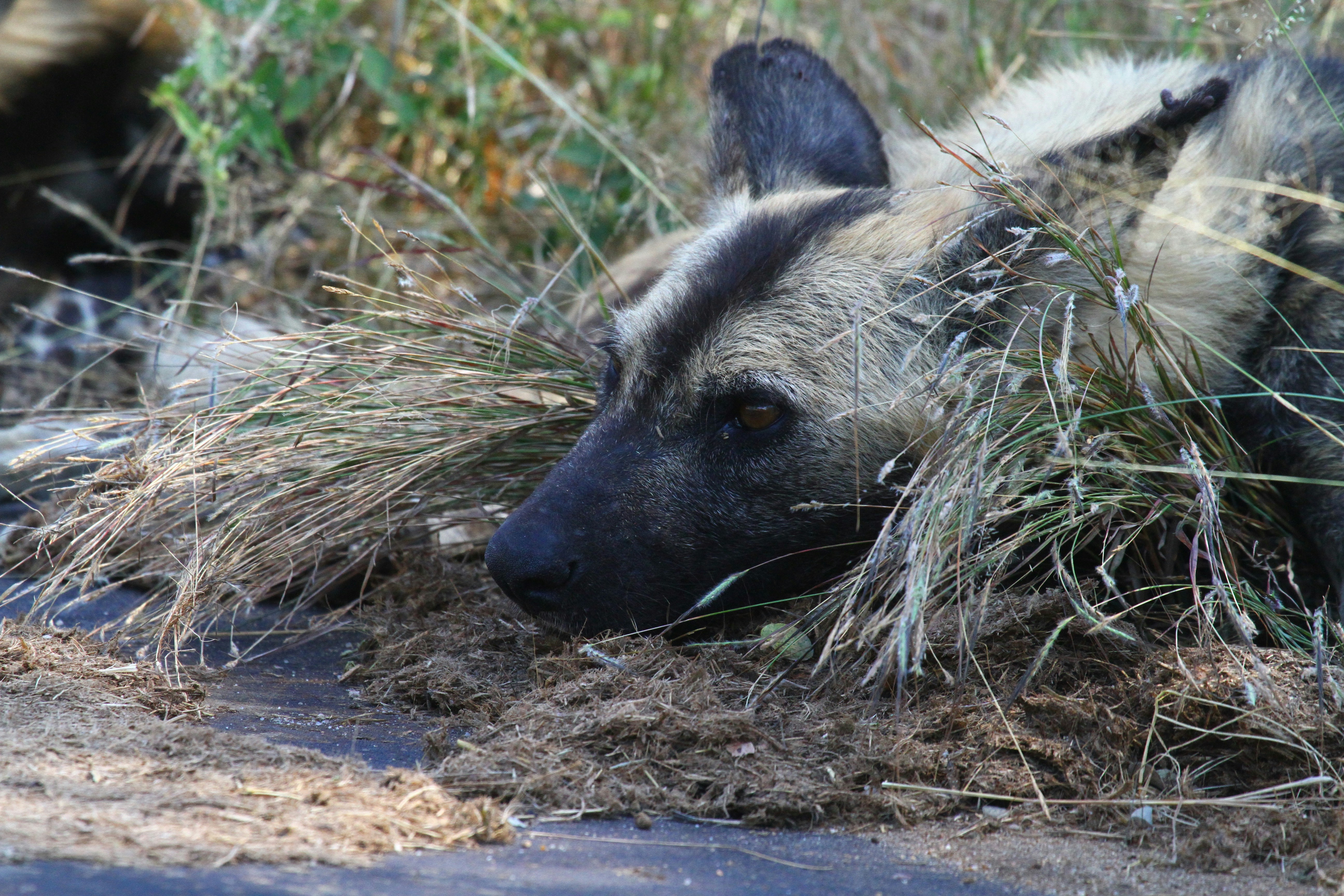 Photo by mitchbwilder