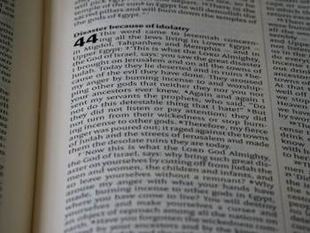 A close-up view of a page from a book with text discussing a topic related to idolatry. The text appears well-organized with a prominent chapter number and distinct sections.