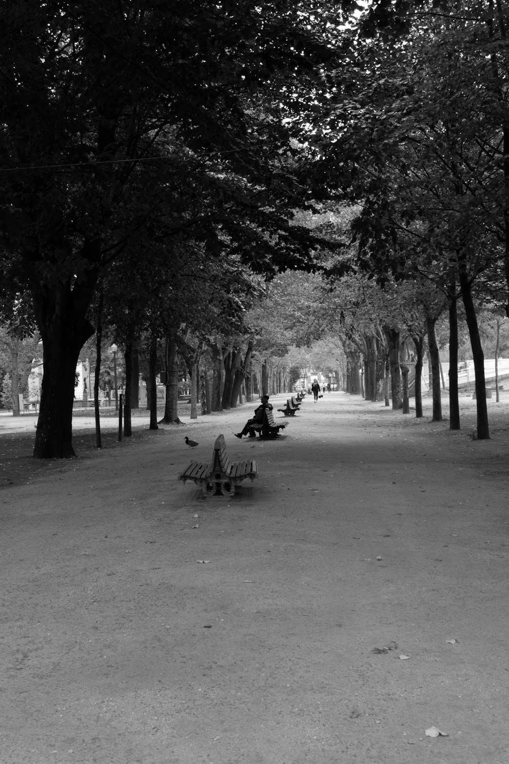 a person sitting on a bench in a park