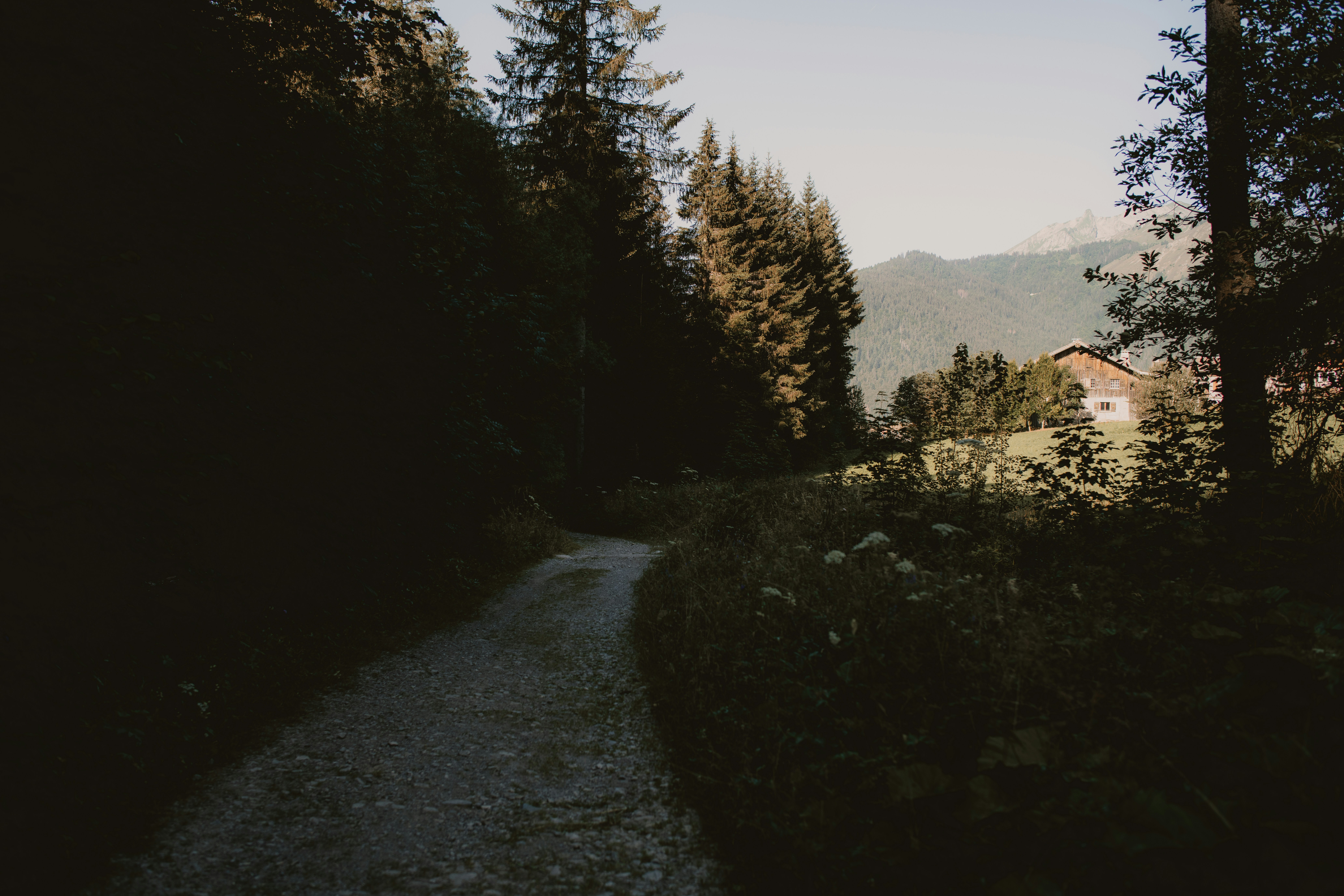 Photo by anniespratt