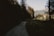 A pathway cuts through a dense forest with tall pine trees on both sides. In the background, a small house is visible amidst a meadow, with mountains and a clear sky overhead. The sunlight casts partial shadows, creating a serene and slightly mysterious atmosphere.