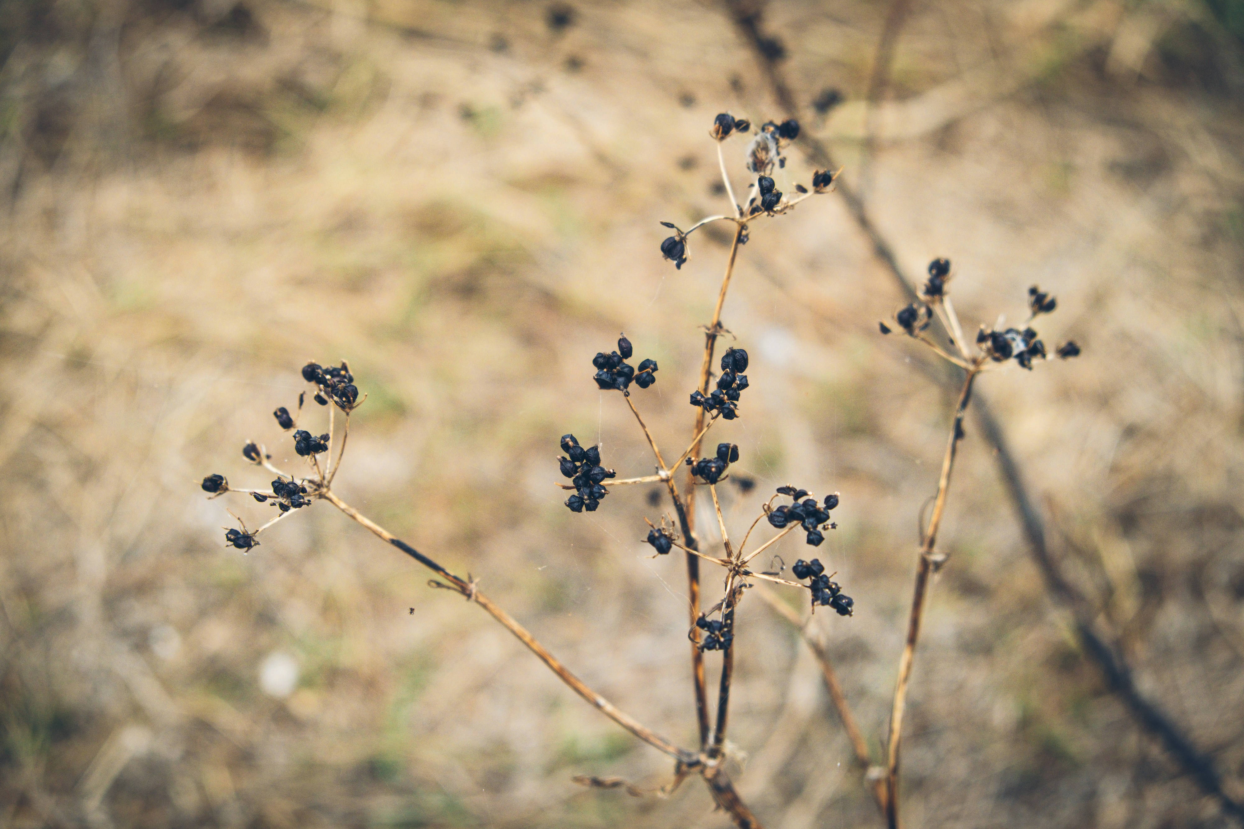 Photo by timothedurand01