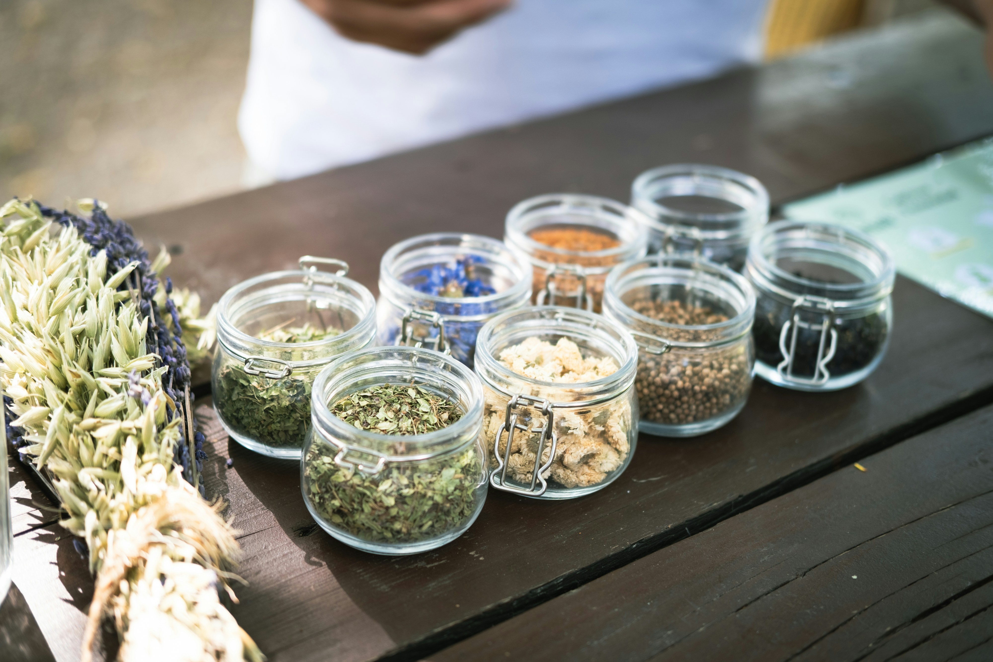 Roots and Remedies: Kurdish-American Herbalists Are Bringing Ancestral Botanical Wisdom Into the American Wellness Conversation