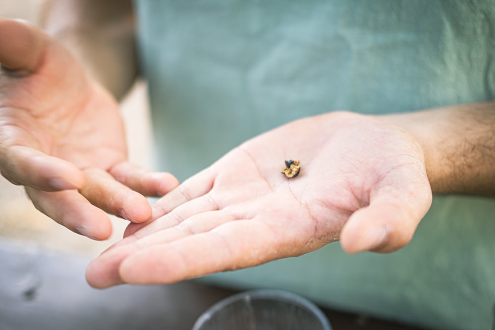 a person holding out their hand with a tiny insect on it