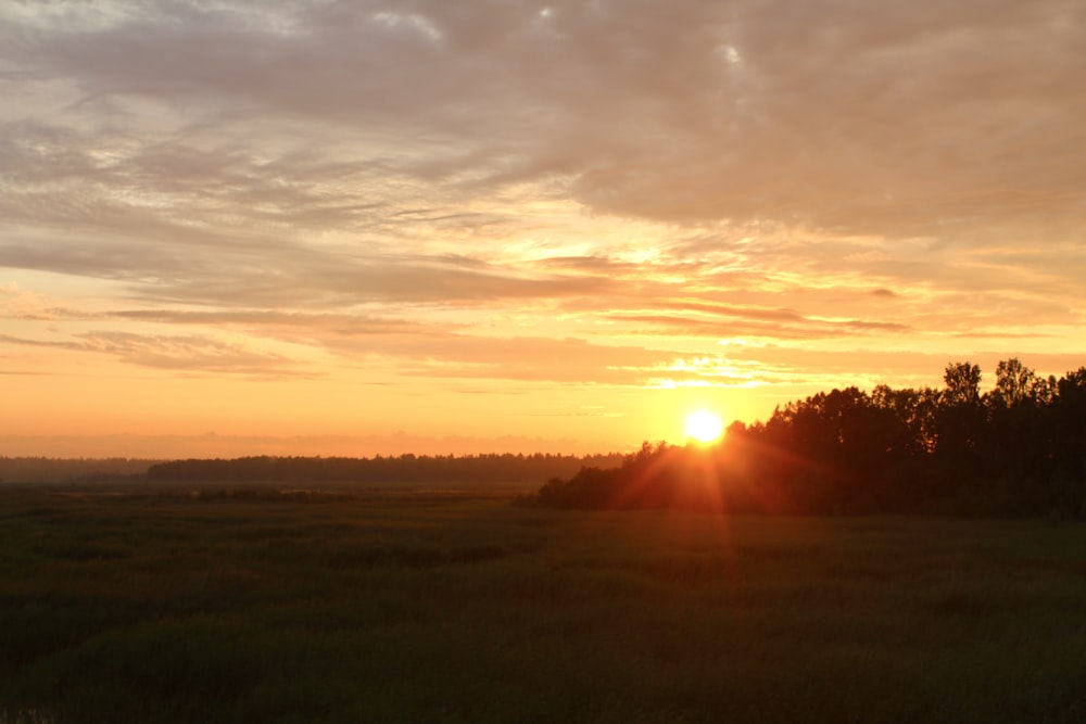 the sun is setting over a grassy field