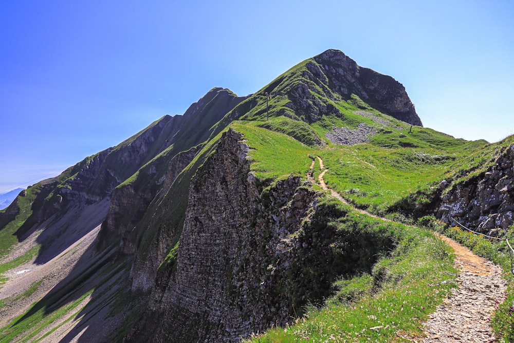 Un camino que sube por una ladera de montaña cubierta de hierba