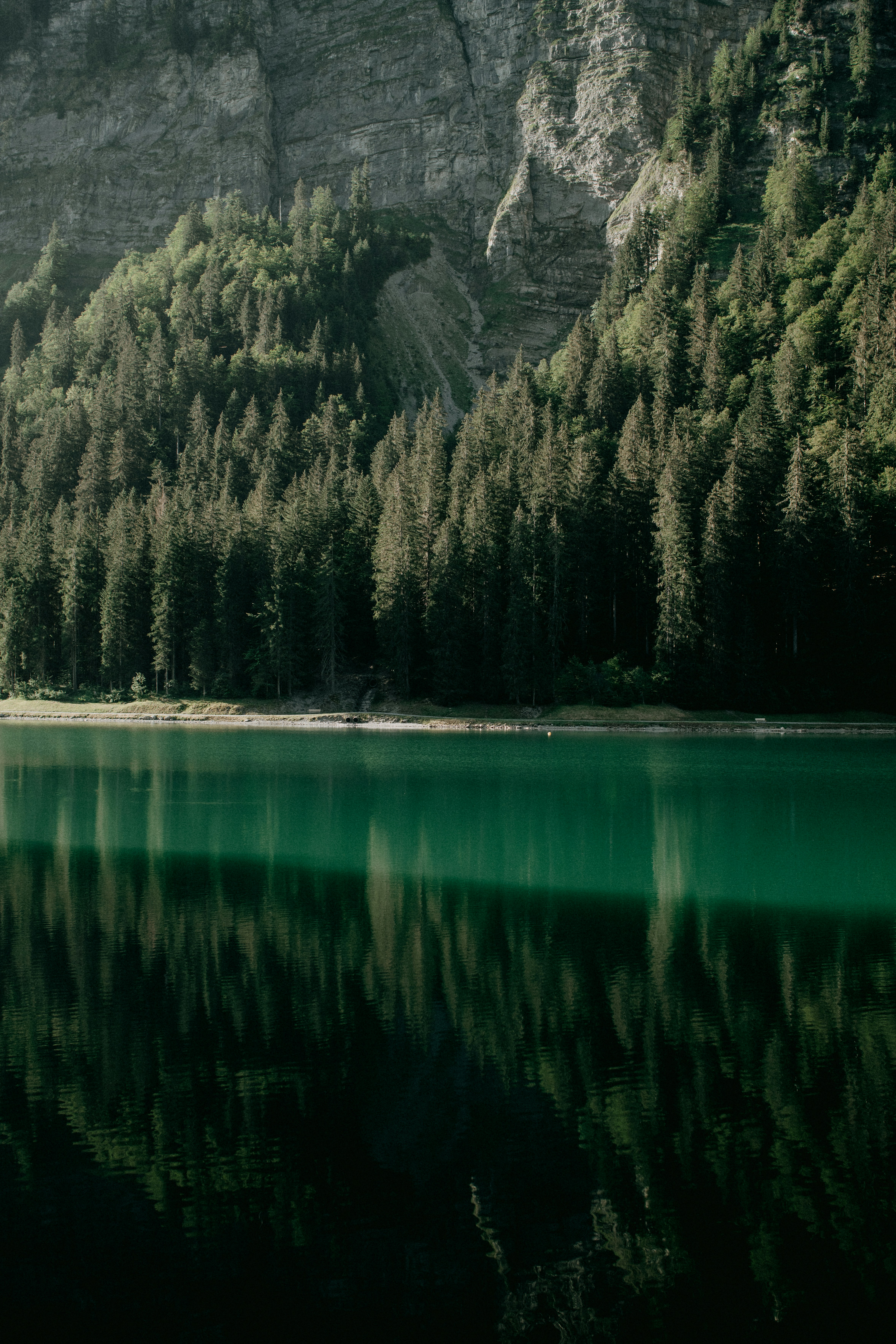 Photo by anniespratt