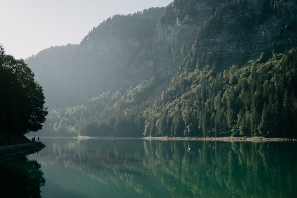 a body of water surrounded by mountains and trees