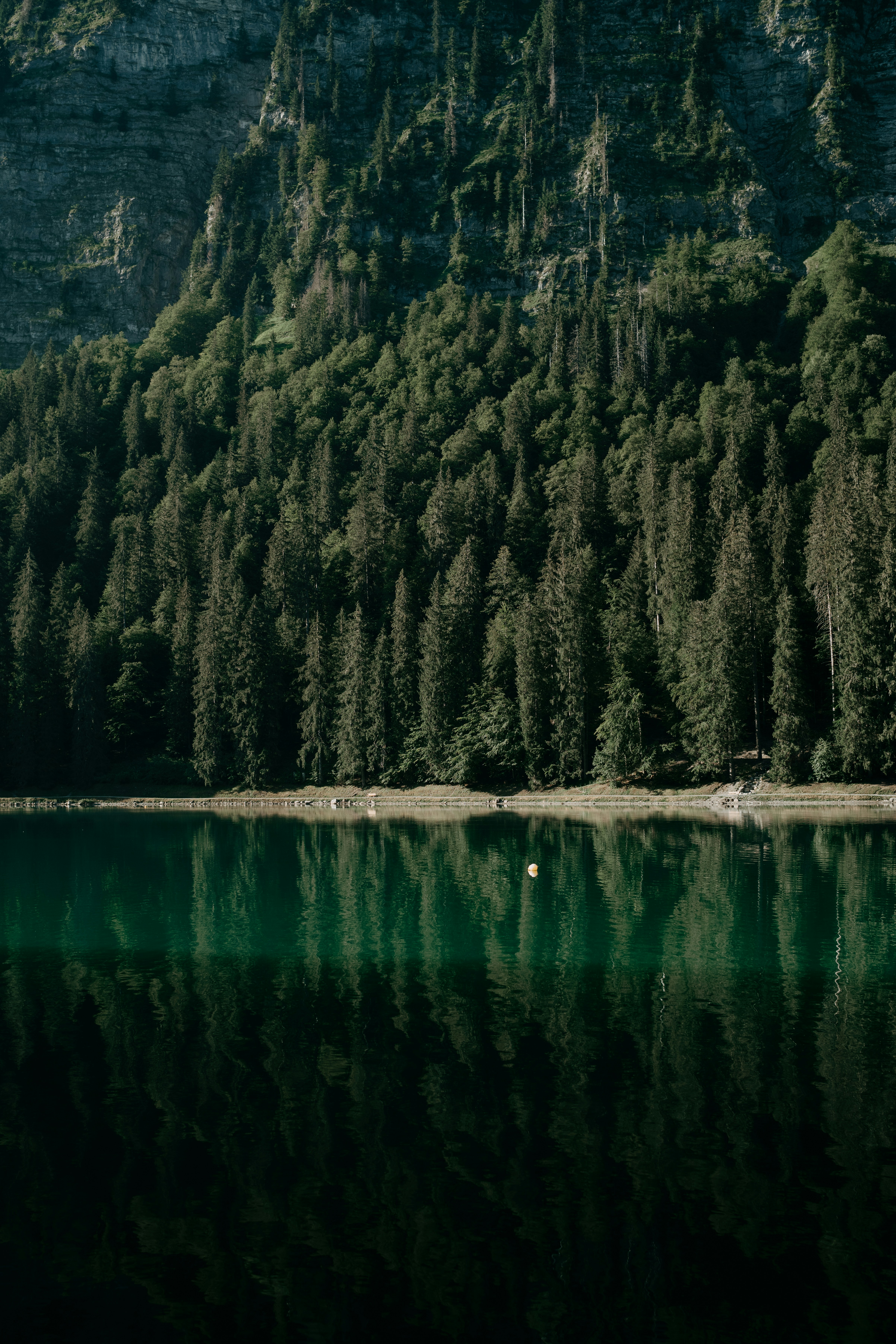 Photo by anniespratt