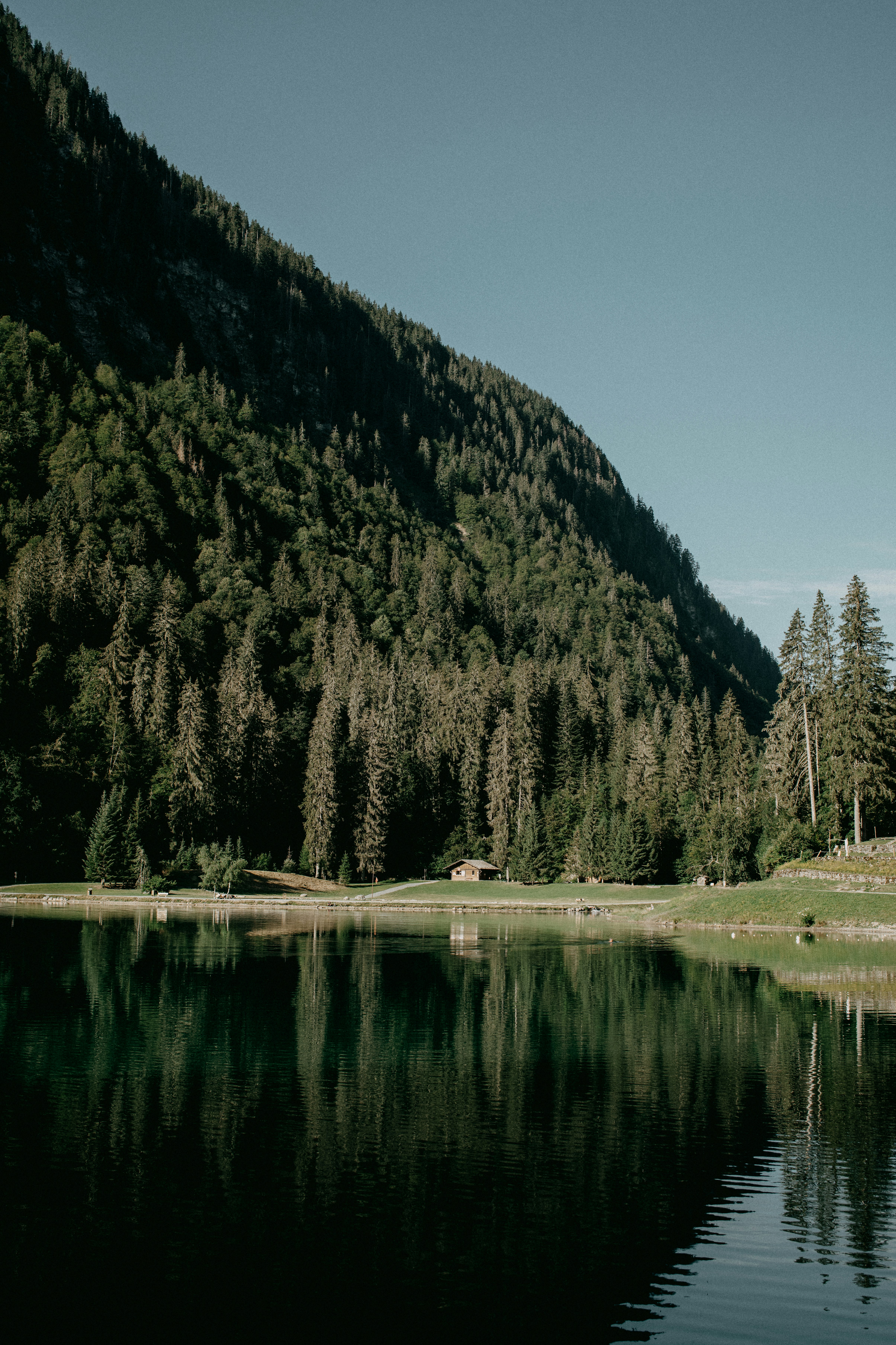 Photo by anniespratt