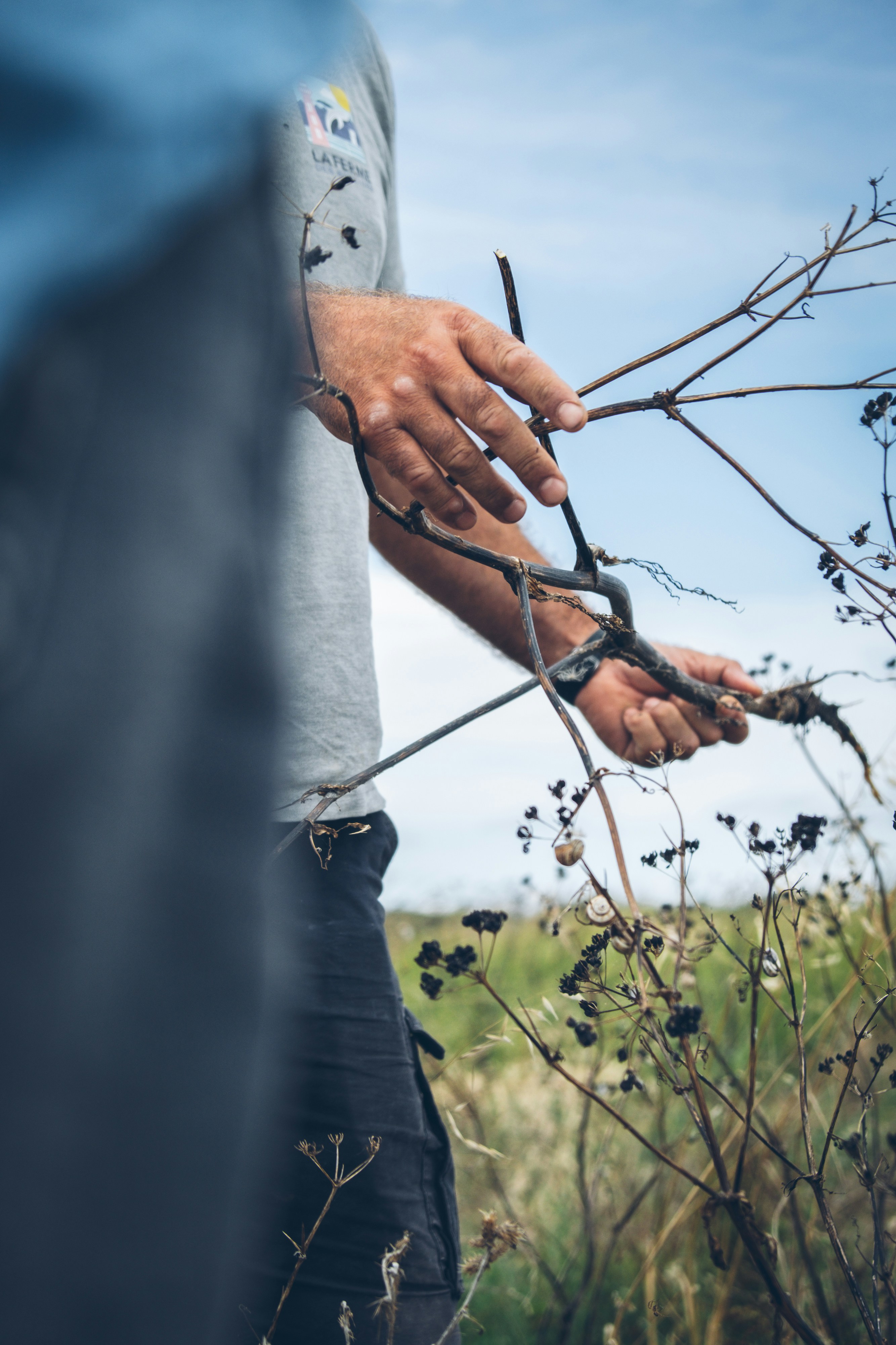 Photo by timothedurand01