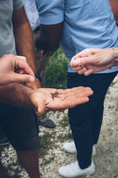 a group of people holding out their hands with dirt on them