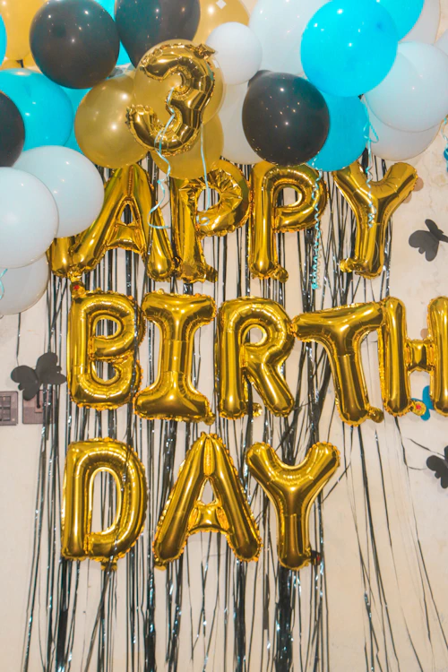 Priya's Sweet Sixteen — photo 3