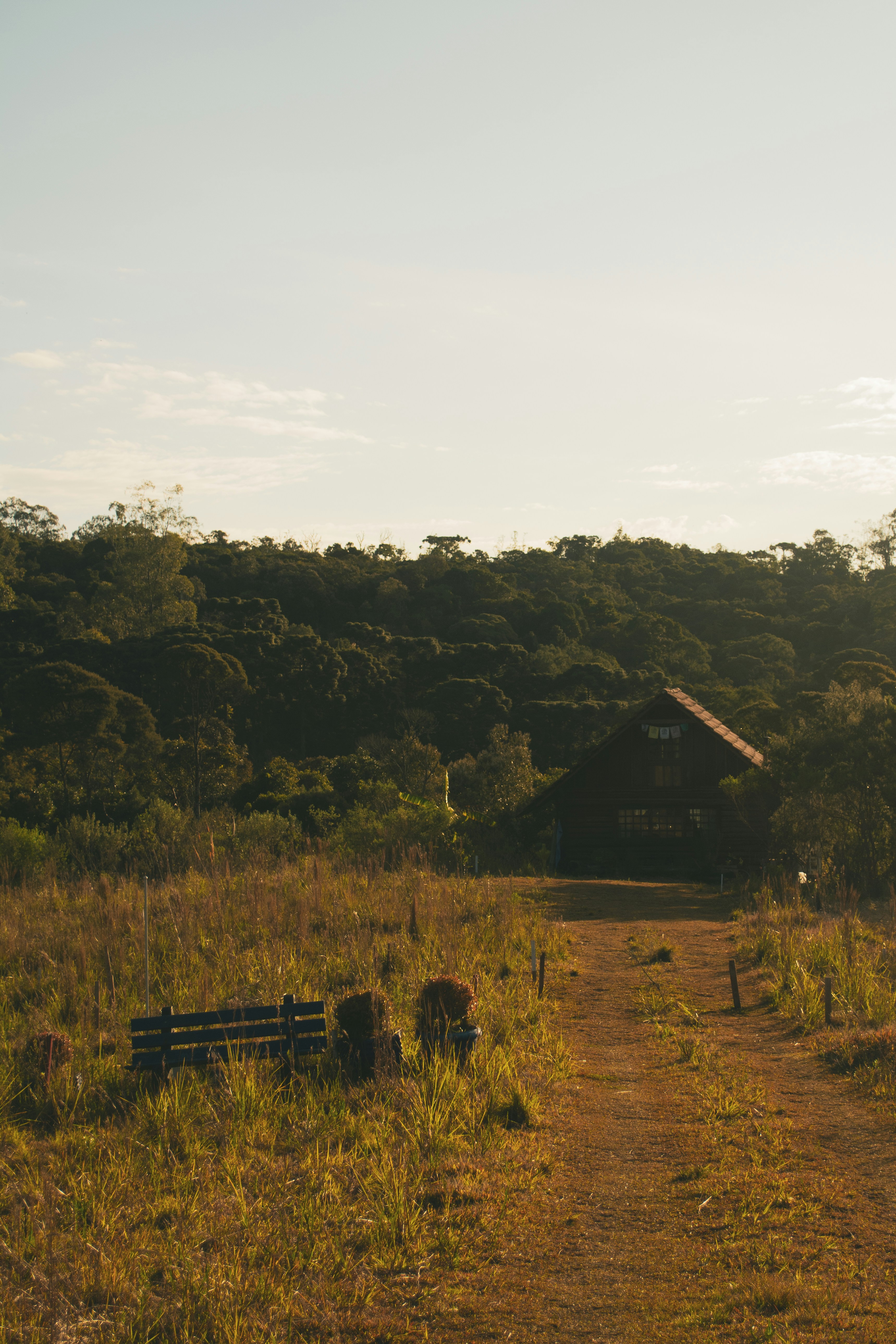 Photo by dantecandal