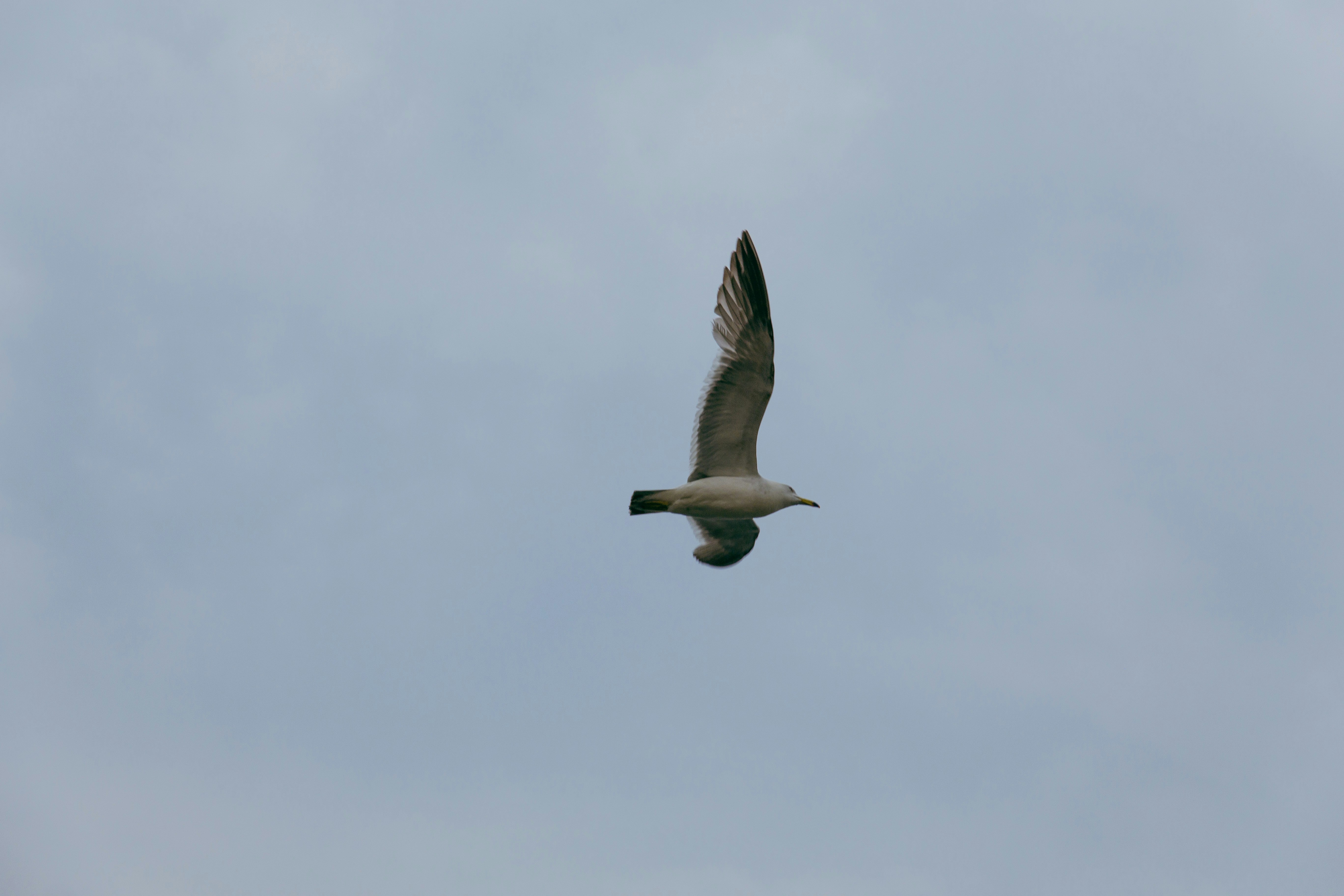 Photo by enragingberry