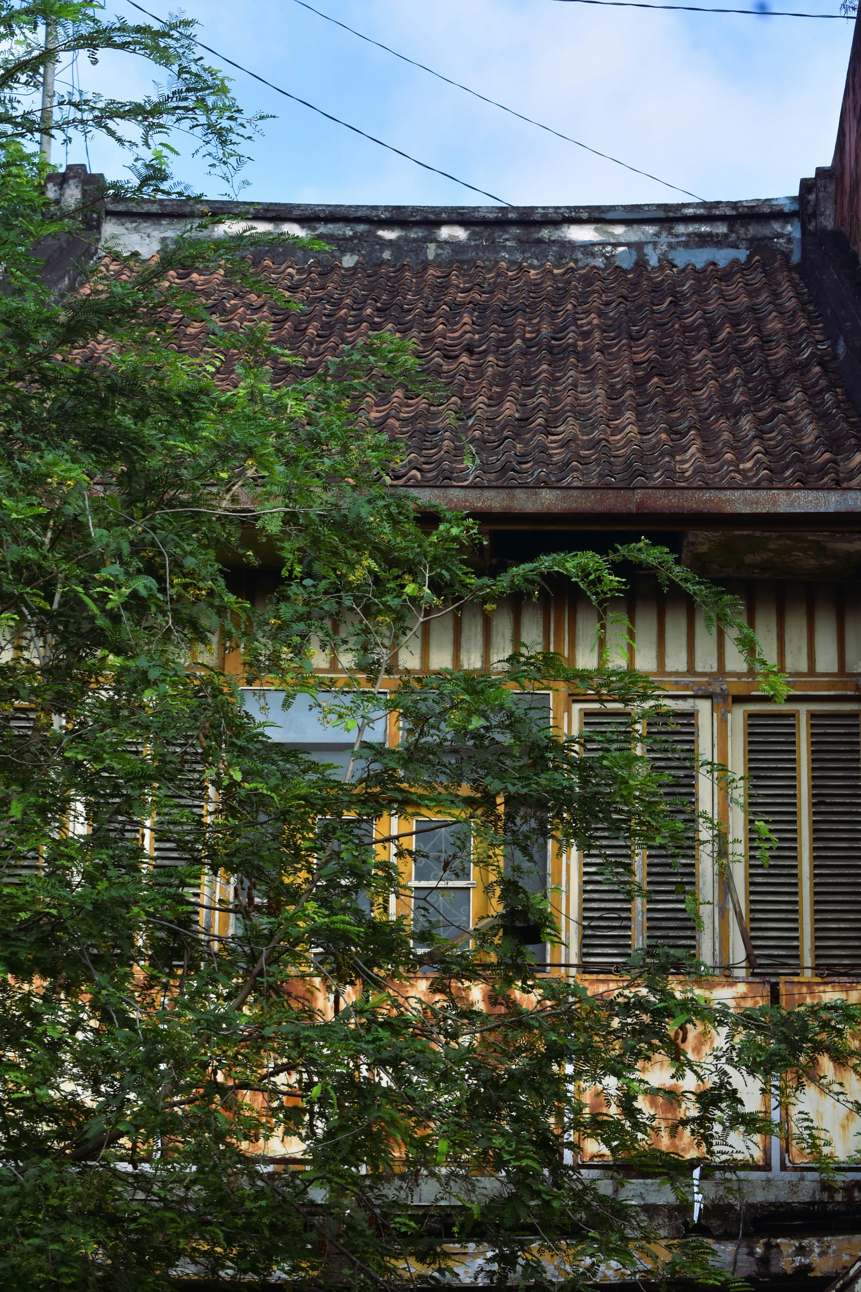 Photo by nimbostratus