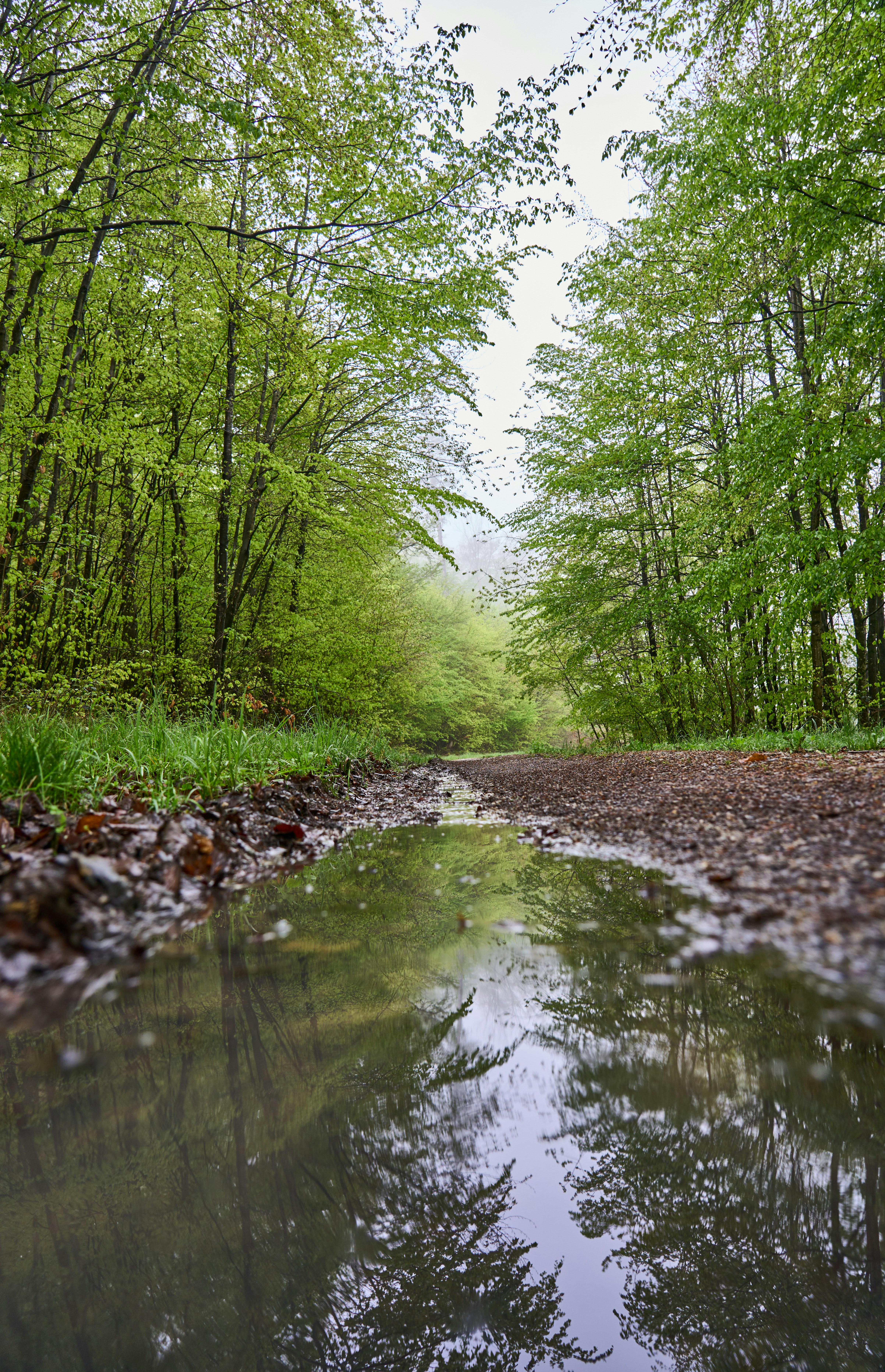 Photo by wolfgang_hasselmann