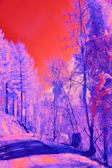 Midjourney AI-generated artwork featuring a surreal landscape.