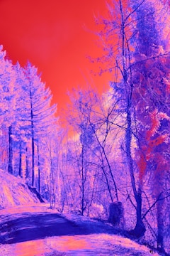 An ethereal landscape depicting a journey through parallel realities.
