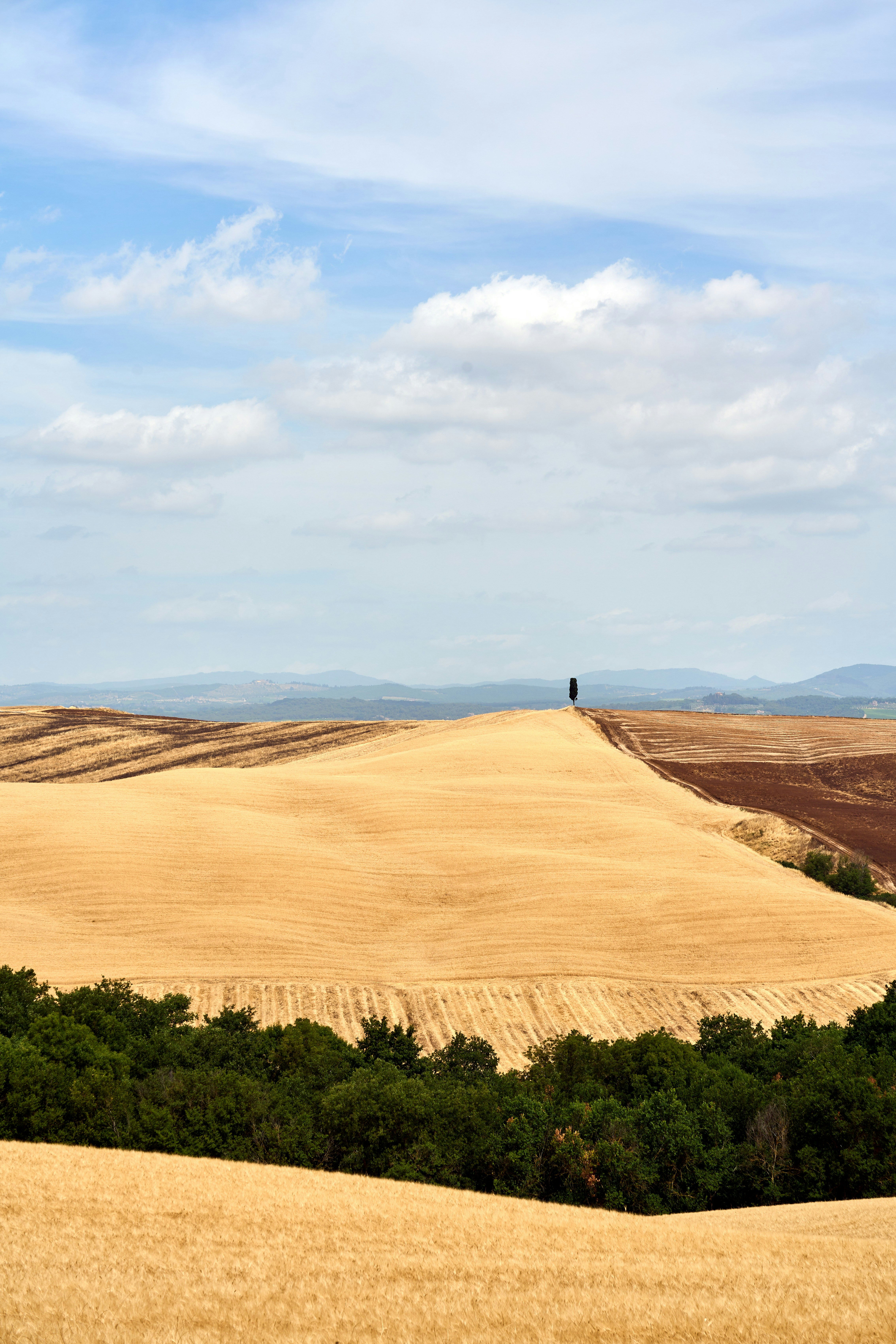 Photo by wolfgang_hasselmann