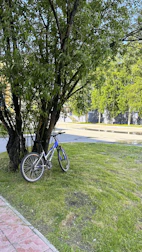 Bicycle leaning against a tree on a sunny training trail.