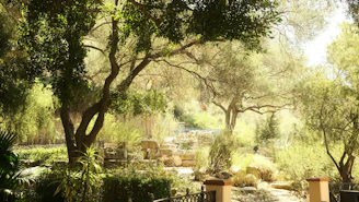 A serene garden scene featuring native Hawaiian plants thriving under dappled sunlight.